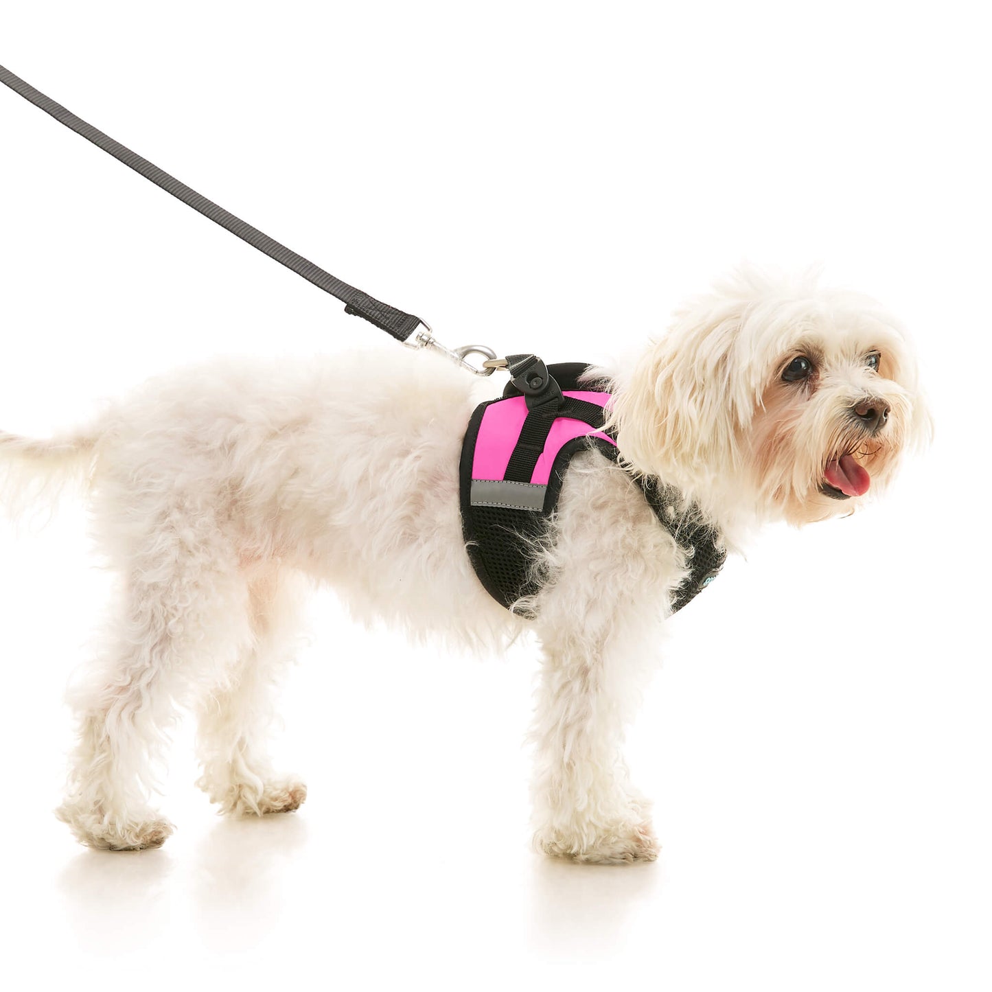 Soft Mesh X Step In Harness