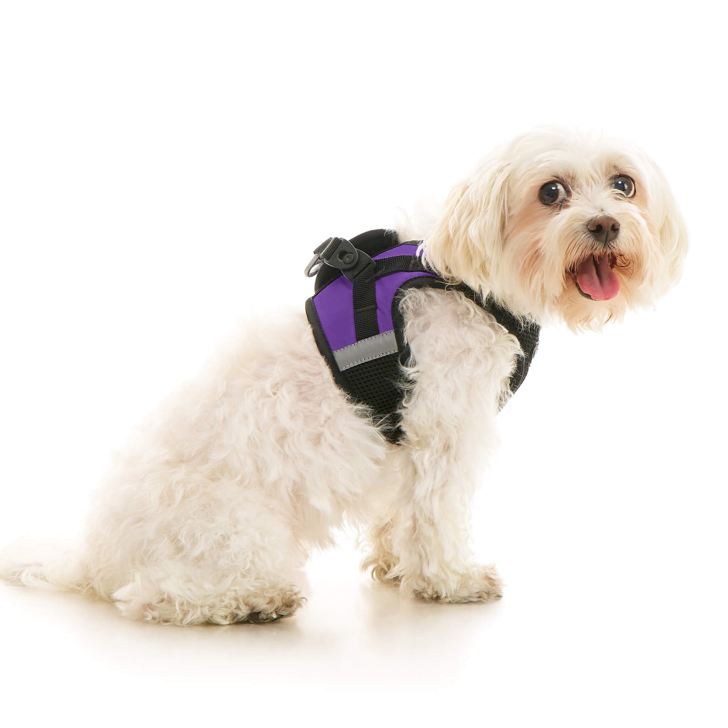 Soft Mesh X Step In Harness