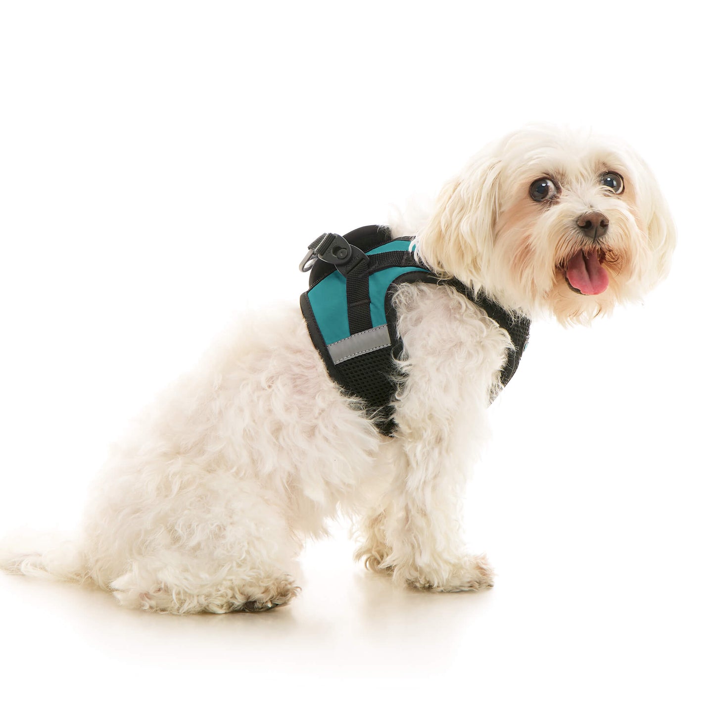 Soft Mesh X Step In Harness