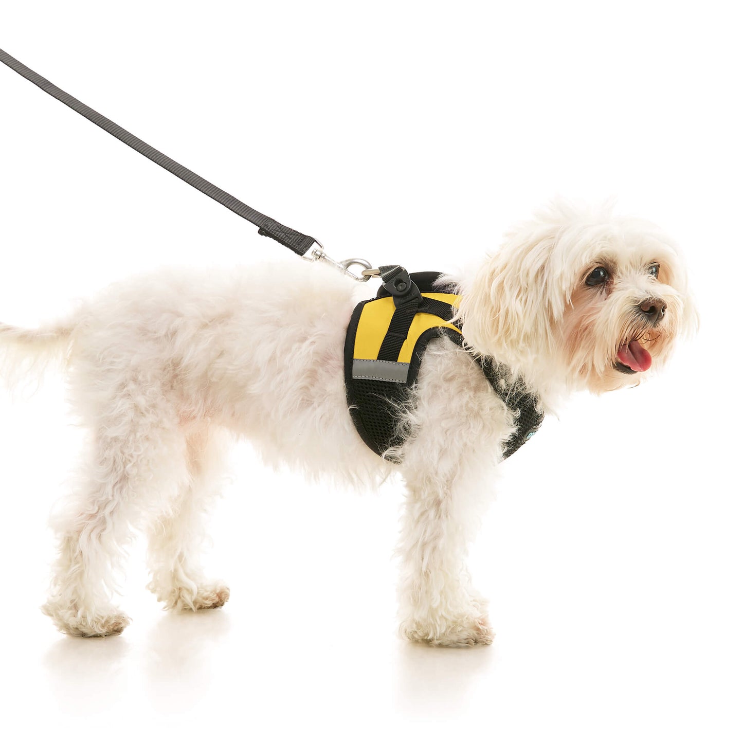 Soft Mesh X Step In Harness