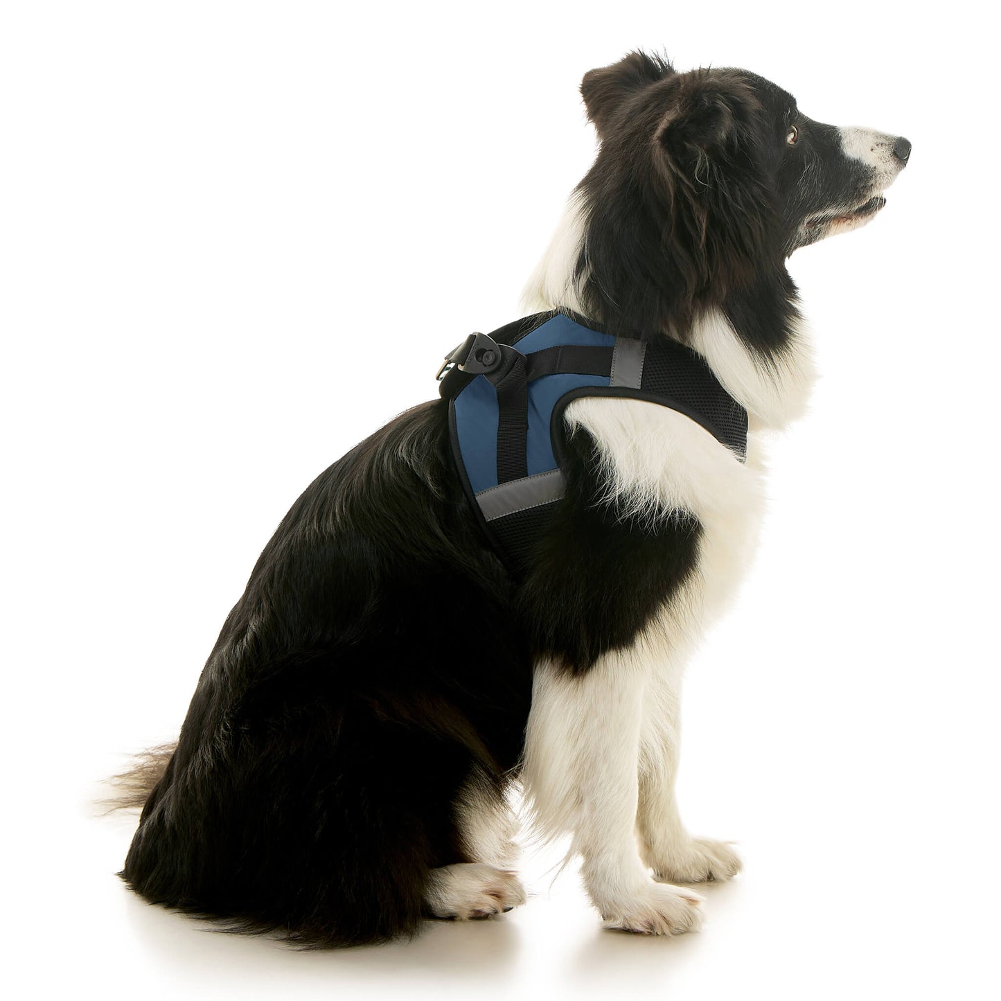 Soft Mesh X Step In Harness