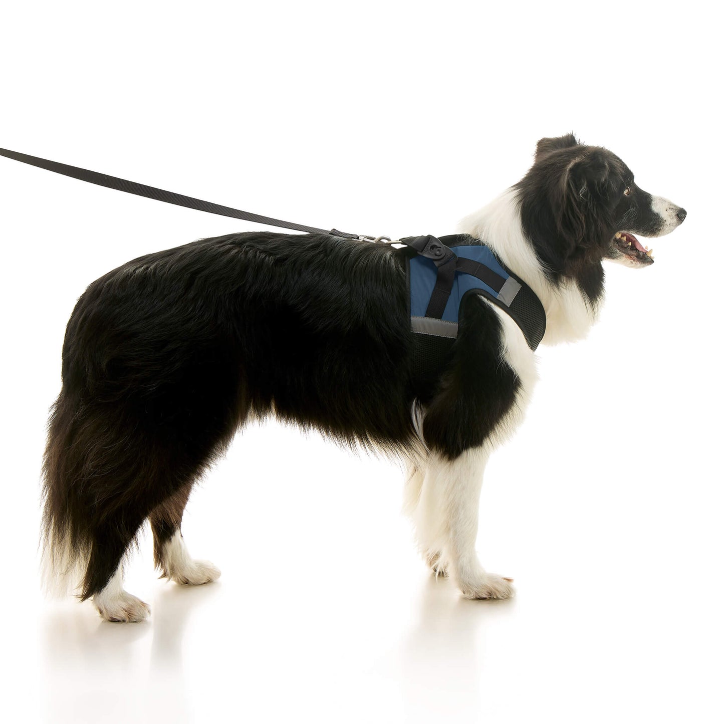 Soft Mesh X Step In Harness