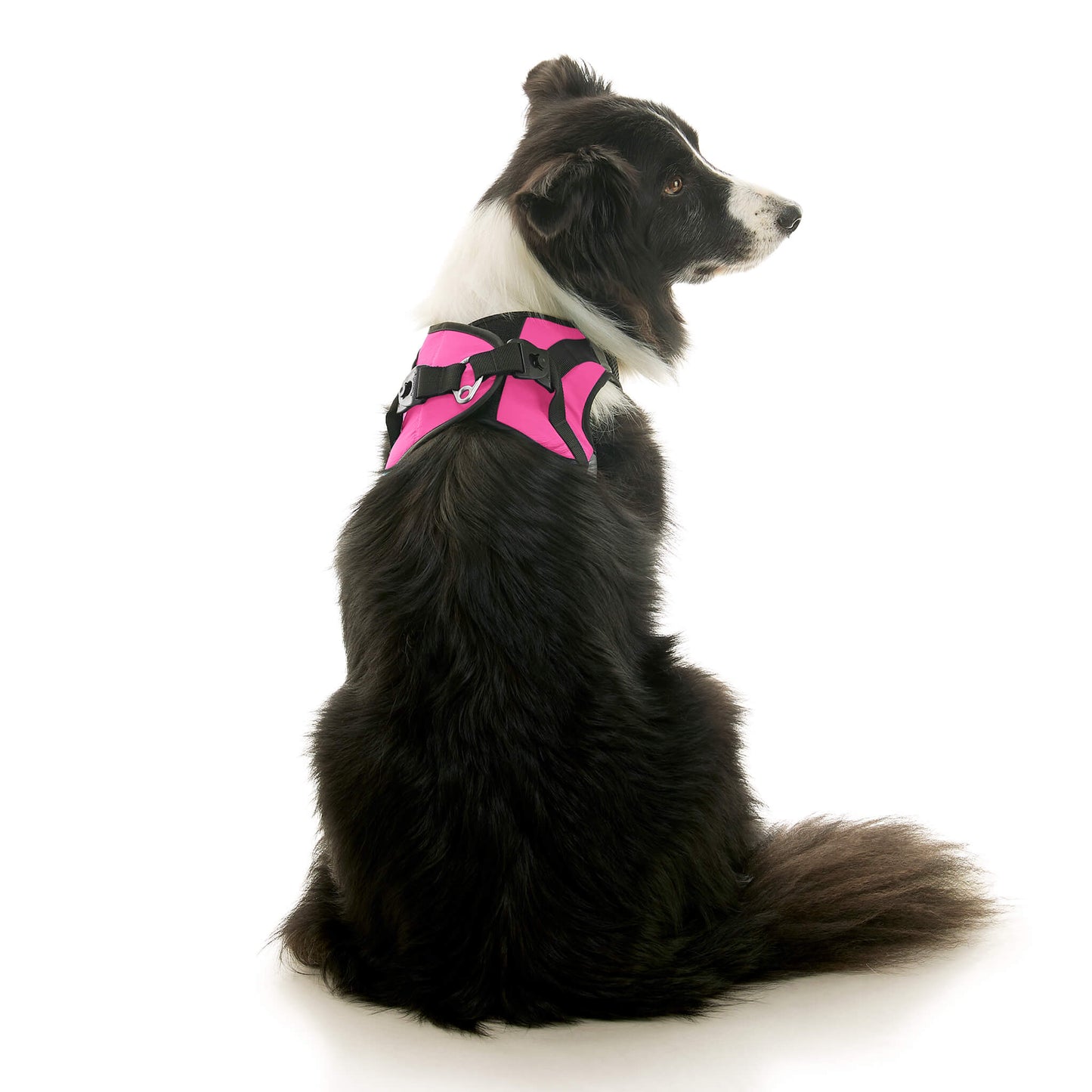 Soft Mesh X Step In Harness