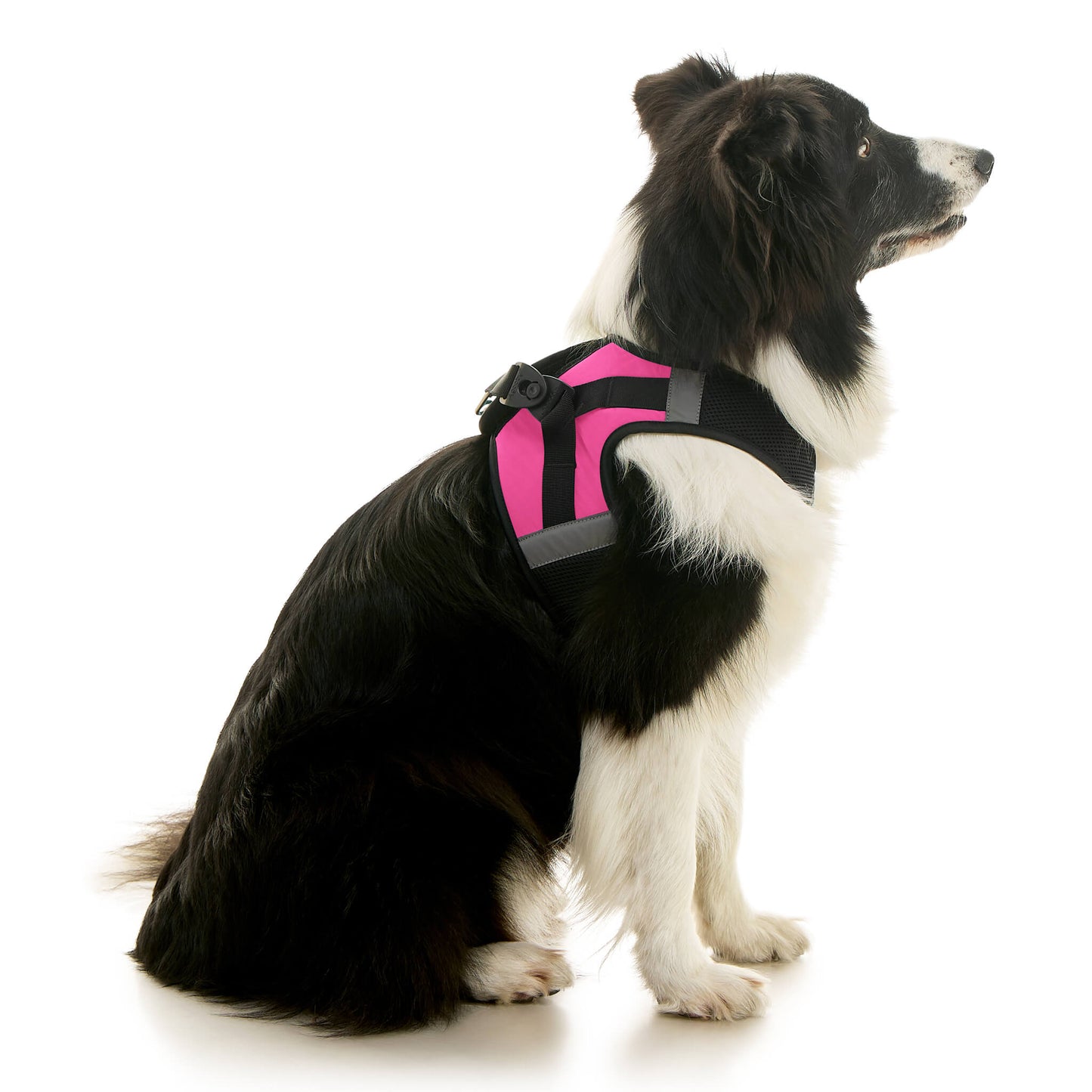 Soft Mesh X Step In Harness