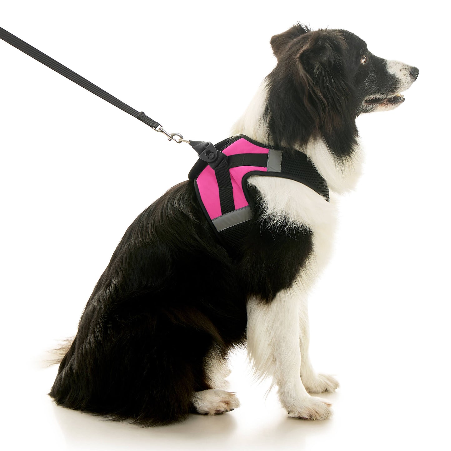 Soft Mesh X Step In Harness