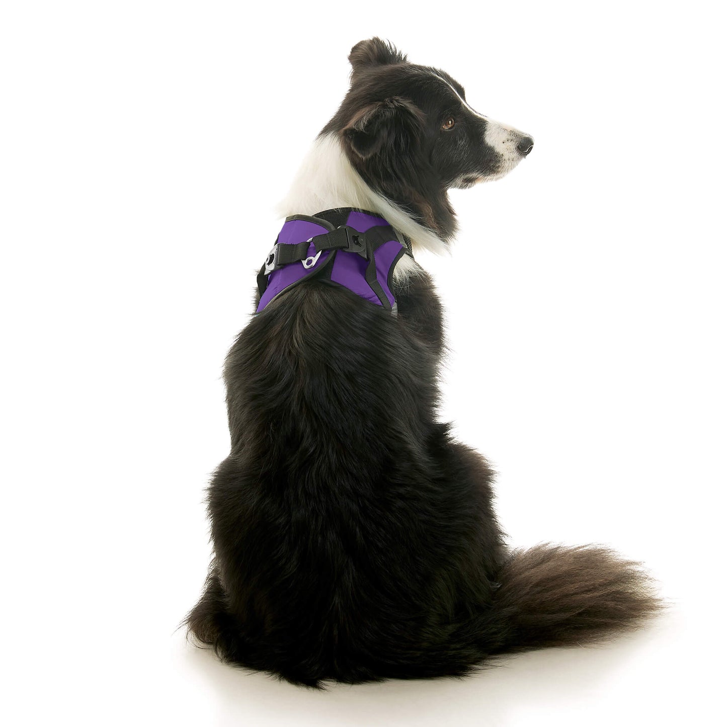 Soft Mesh X Step In Harness