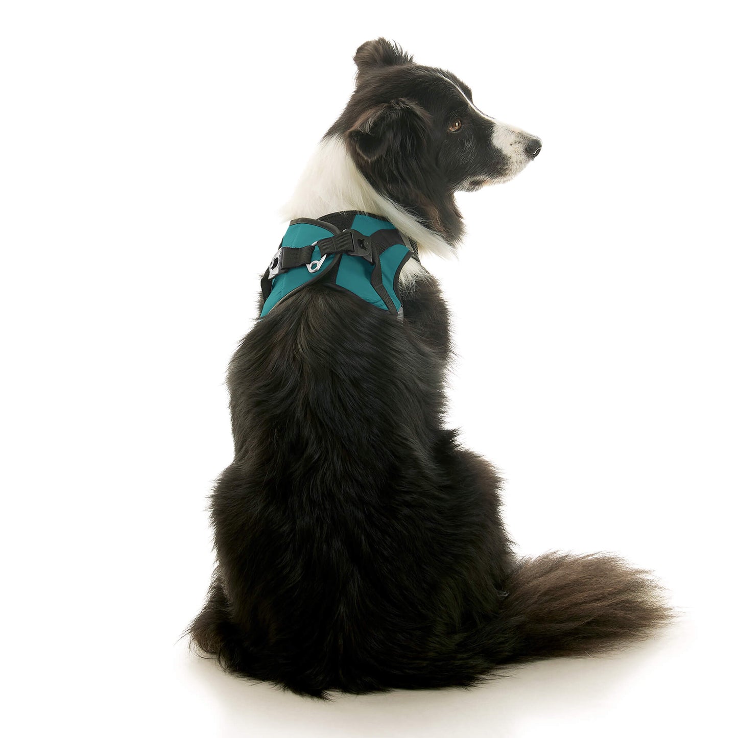 Soft Mesh X Step In Harness