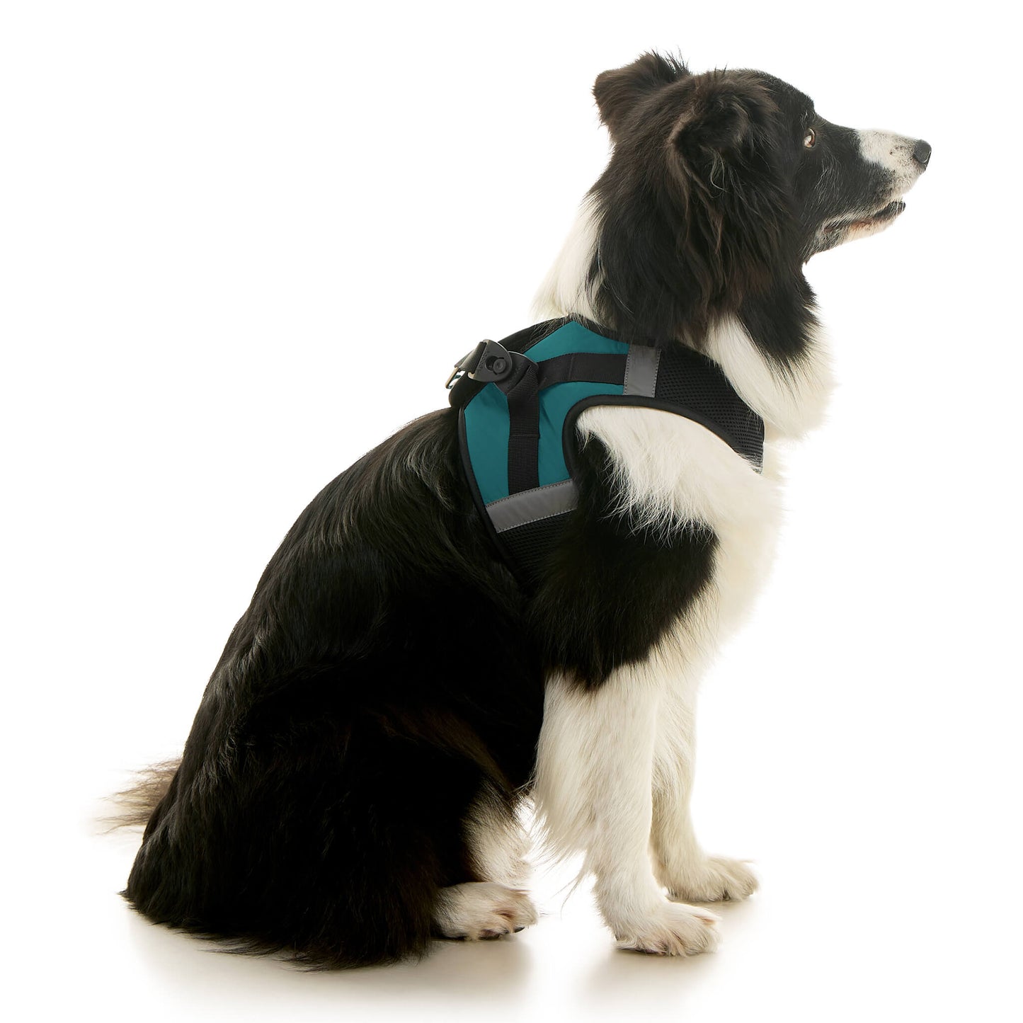 Soft Mesh X Step In Harness