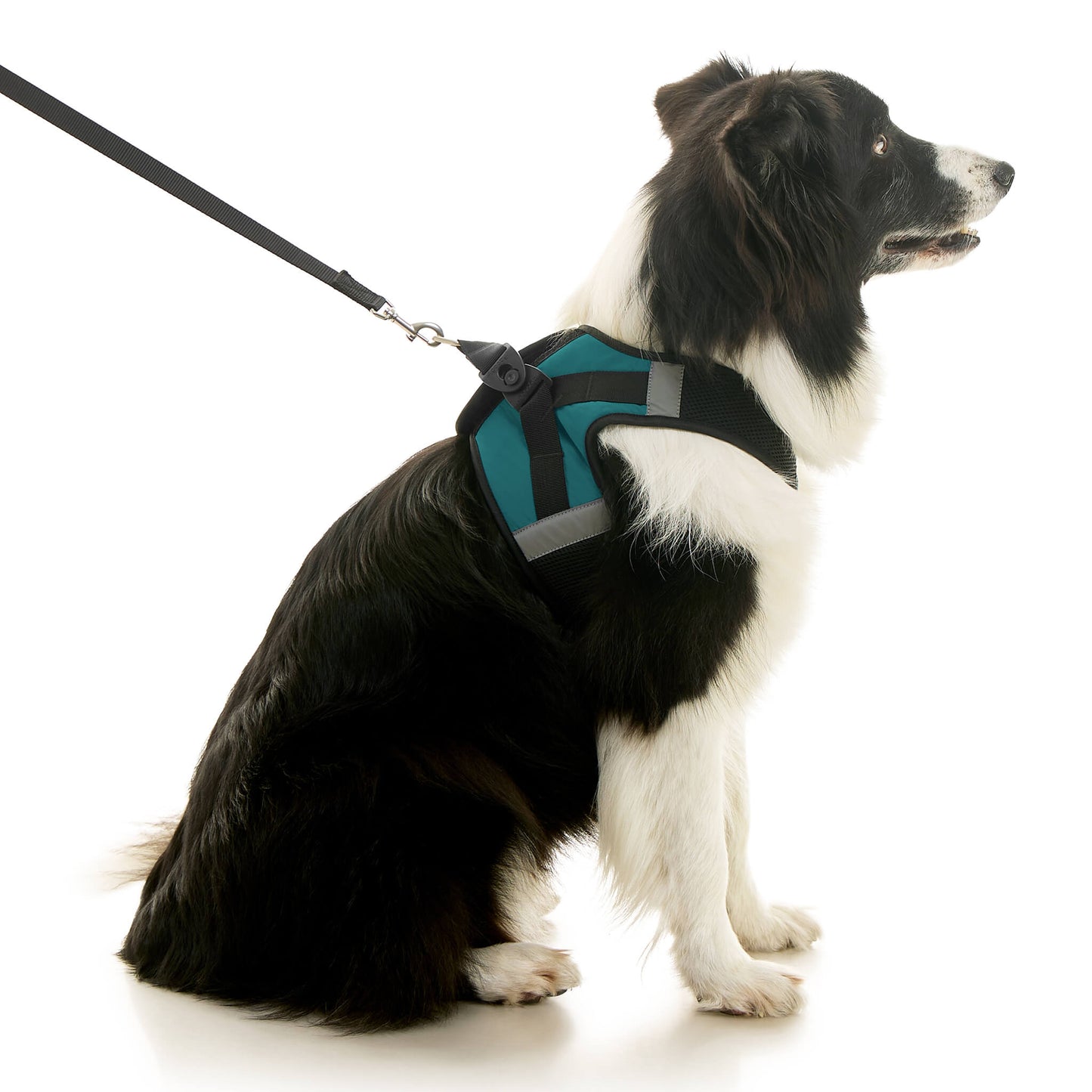 Soft Mesh X Step In Harness