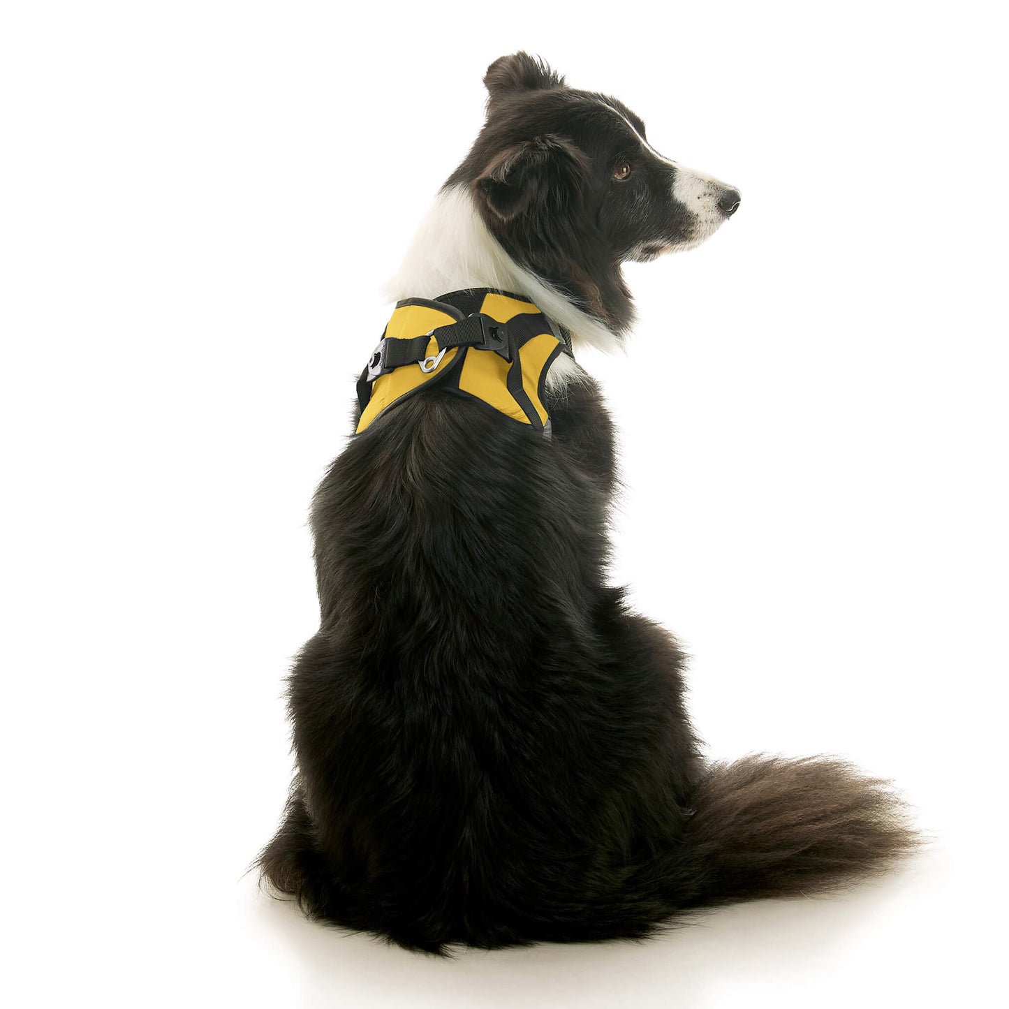 Soft Mesh X Step In Harness