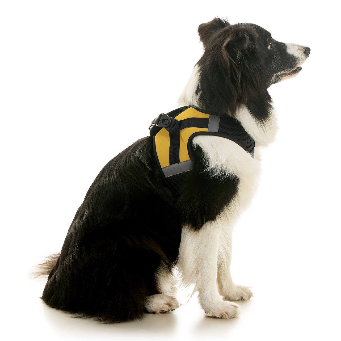 Soft Mesh X Step In Harness