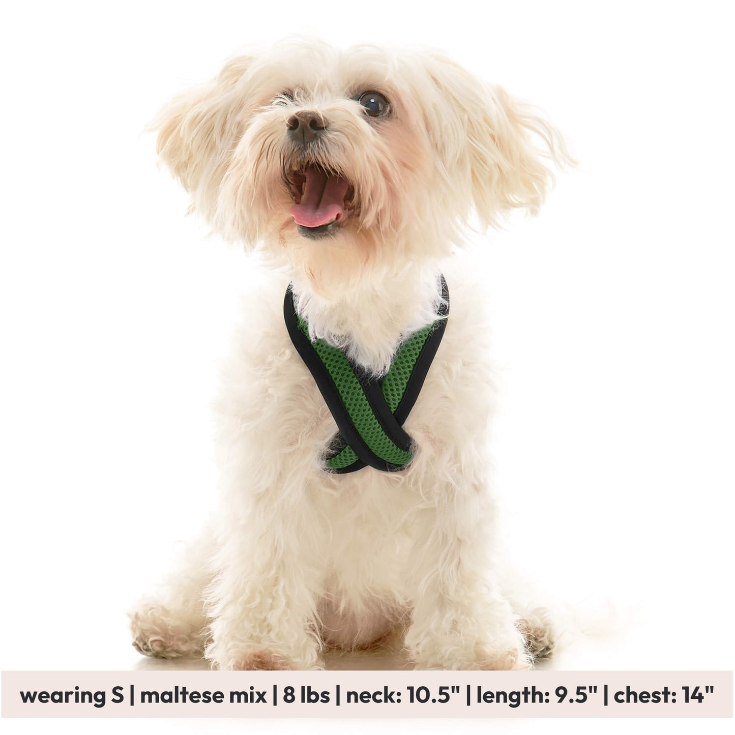 Comfort X Dual Snap Mesh Harness