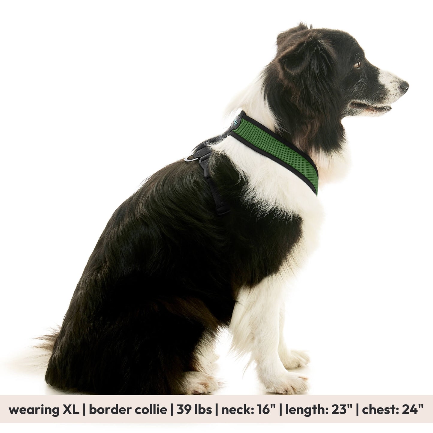 Comfort X Dual Snap Mesh Harness