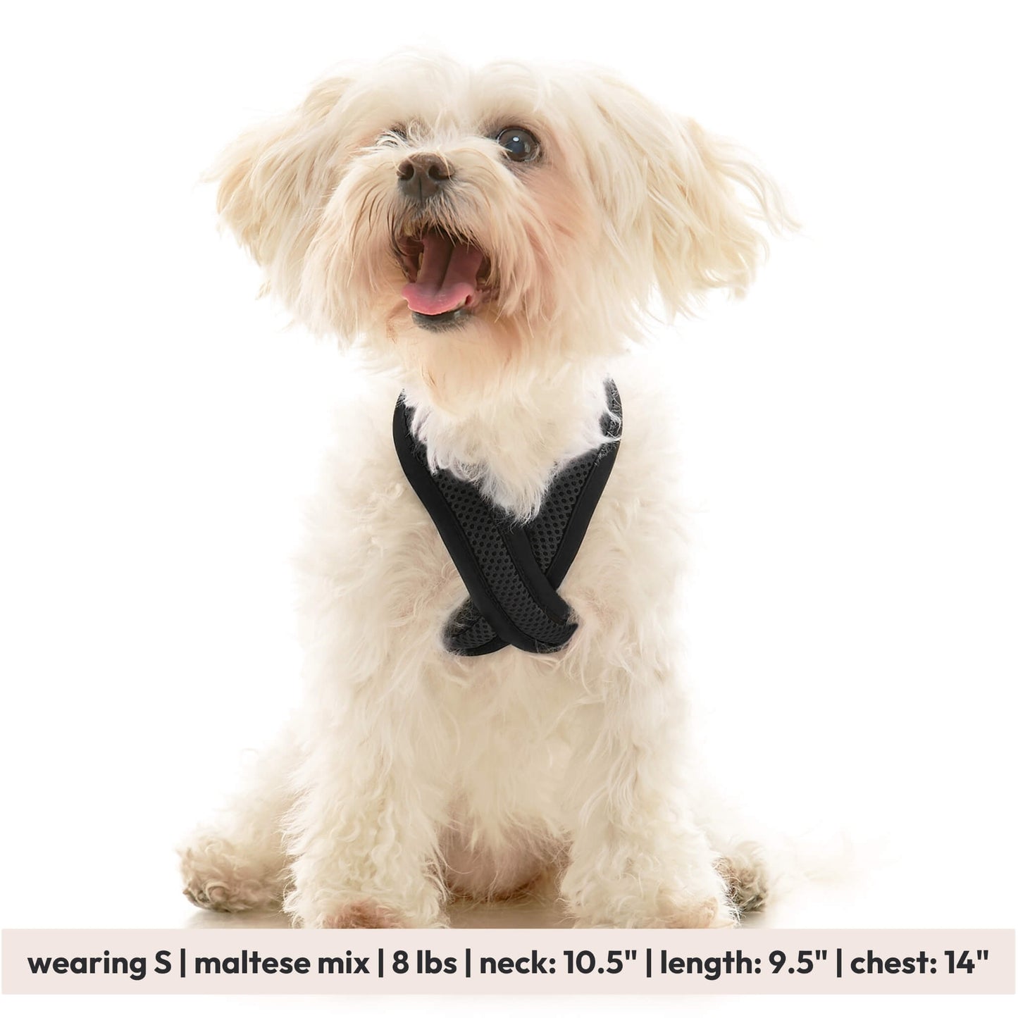 Comfort X Dual Snap Mesh Harness