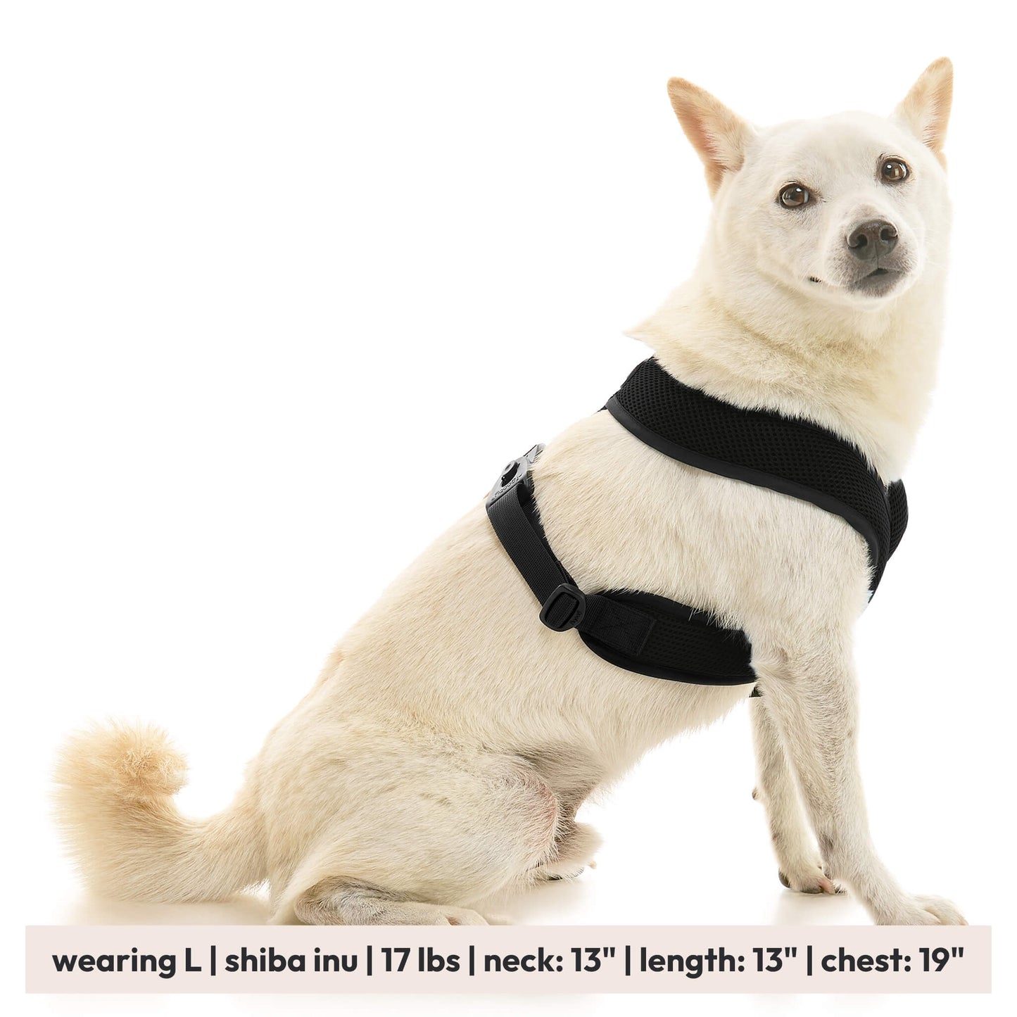 Comfort X Dual Snap Mesh Harness