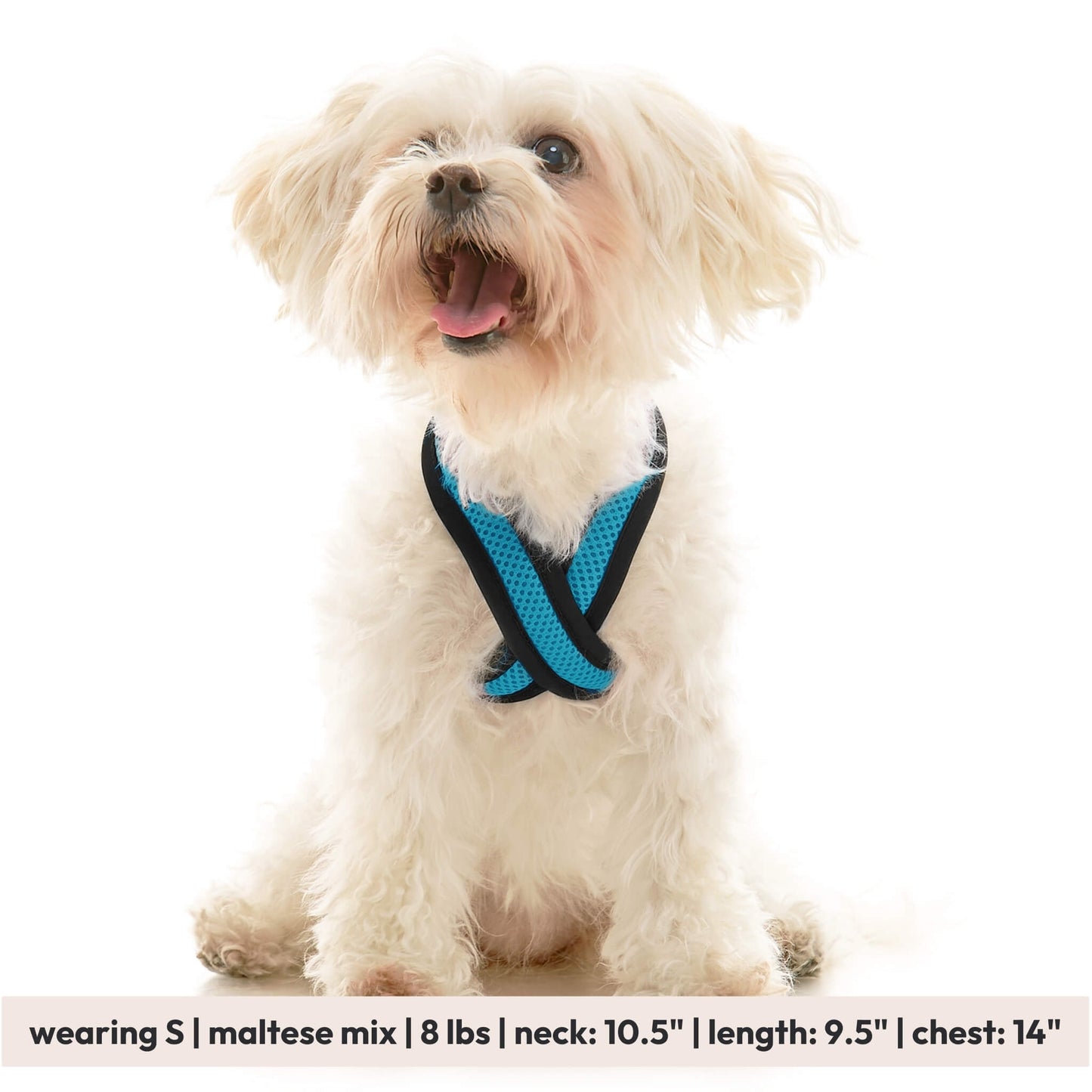 Comfort X Dual Snap Mesh Harness