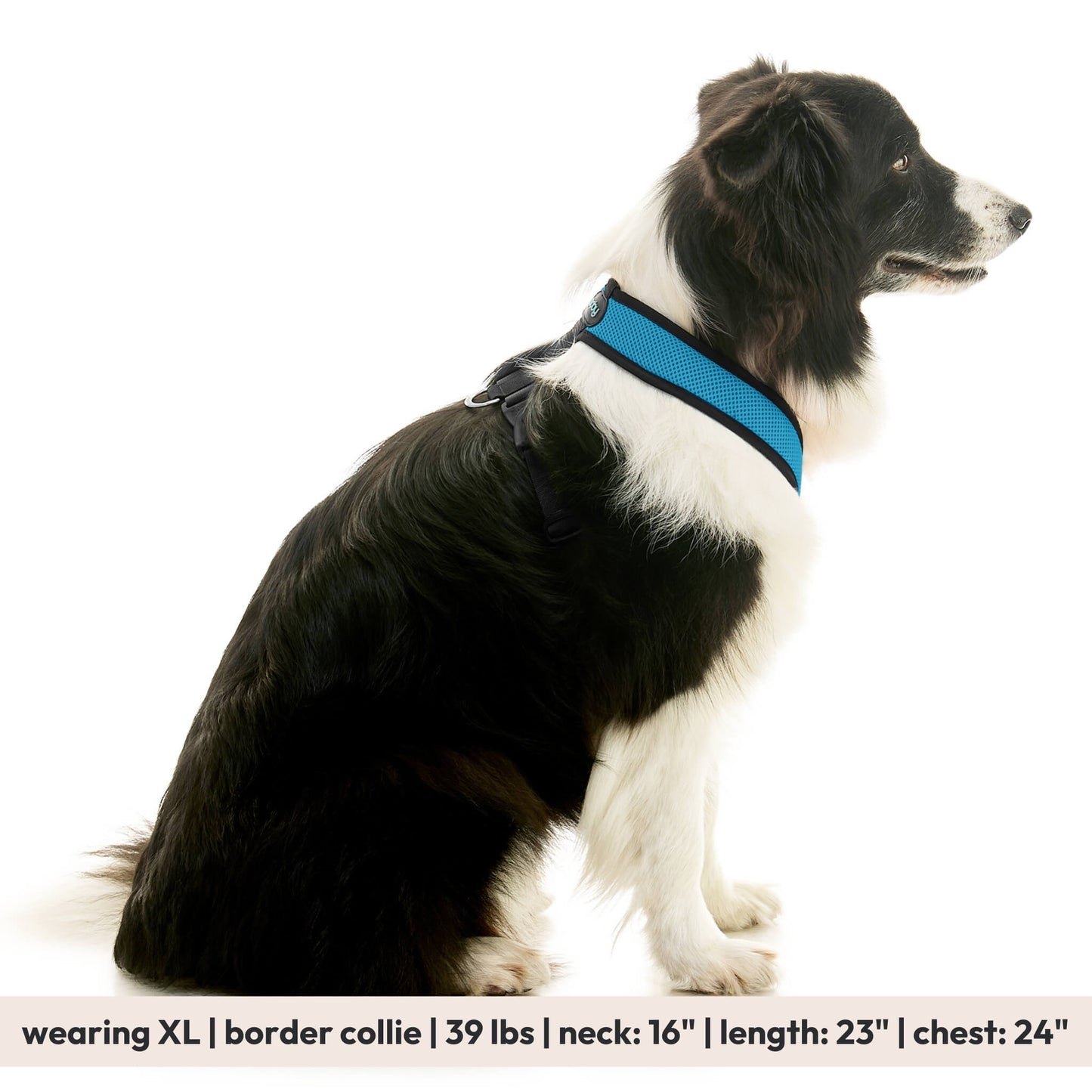 Comfort X Dual Snap Mesh Harness