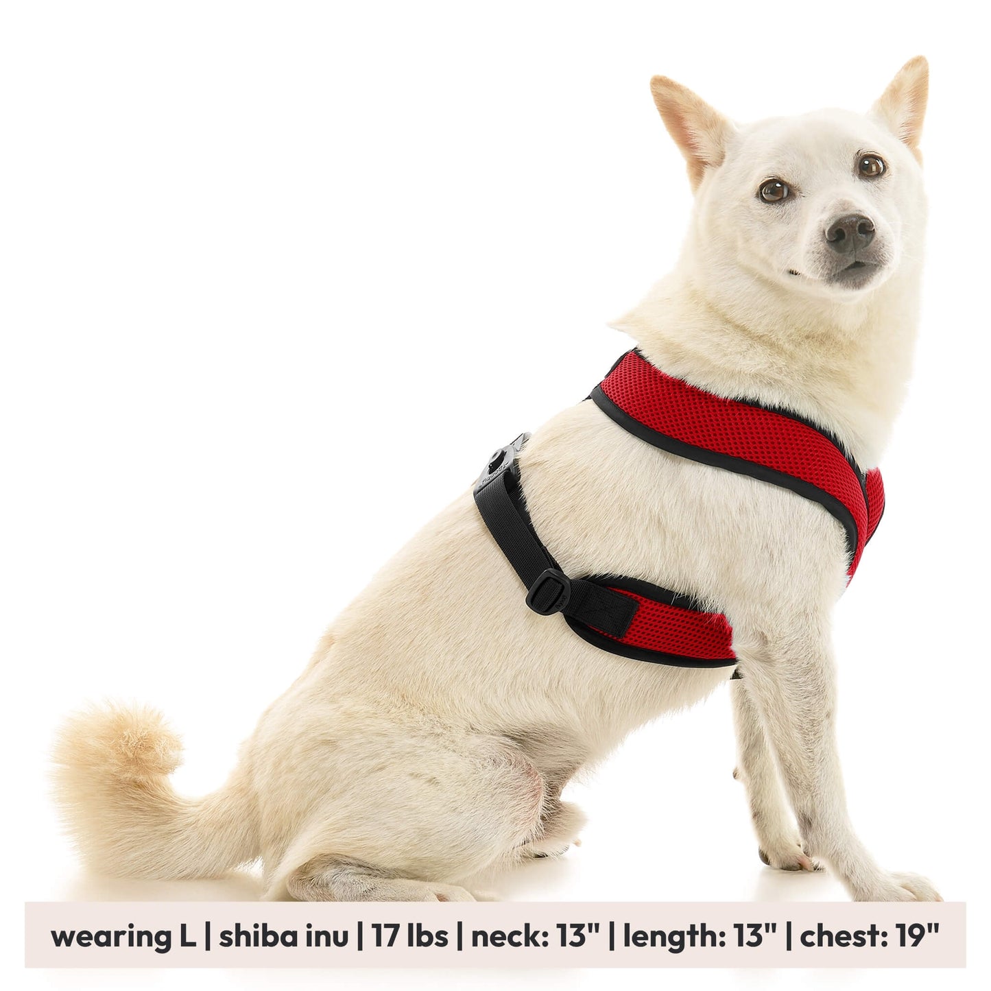 Comfort X Dual Snap Mesh Harness