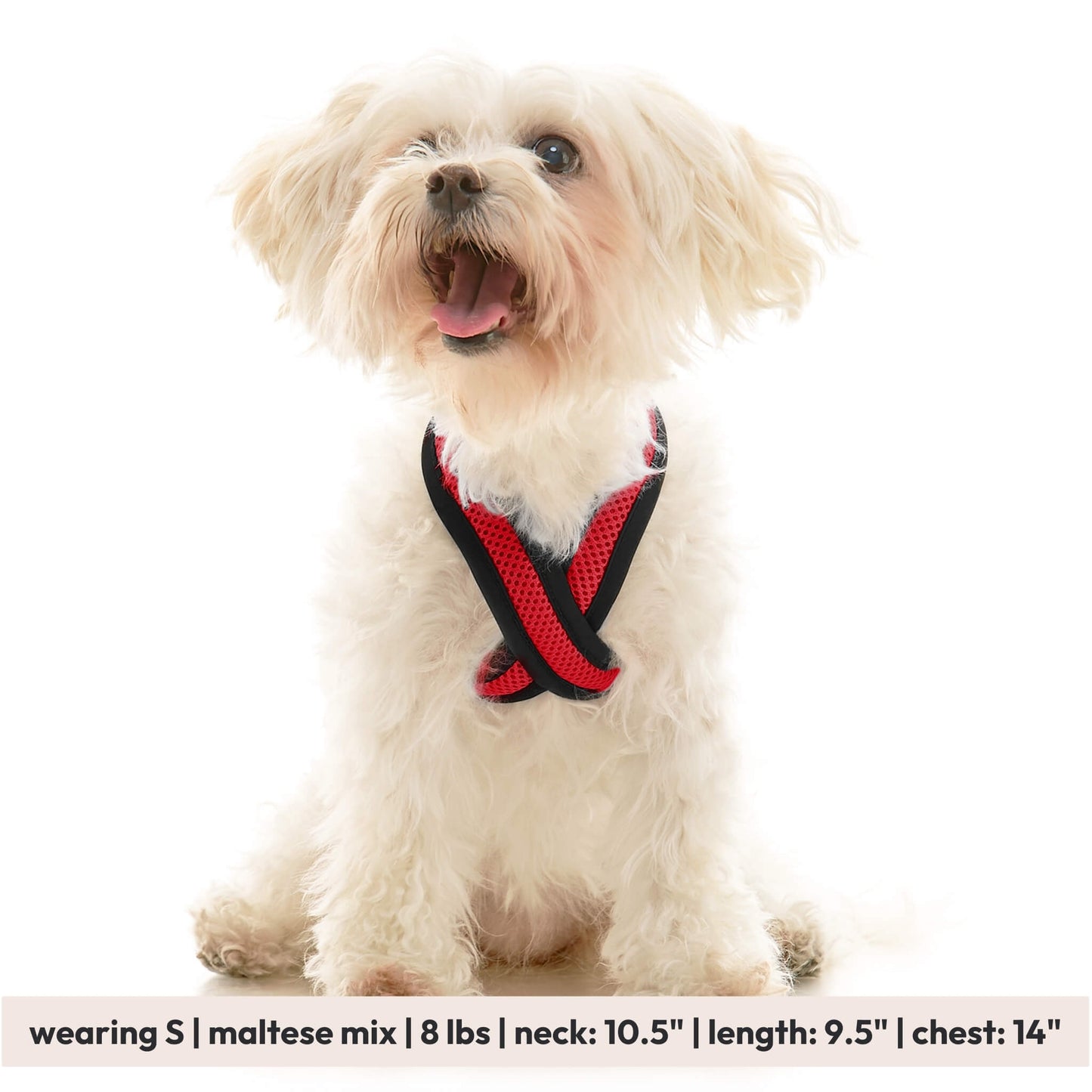 Comfort X Dual Snap Mesh Harness