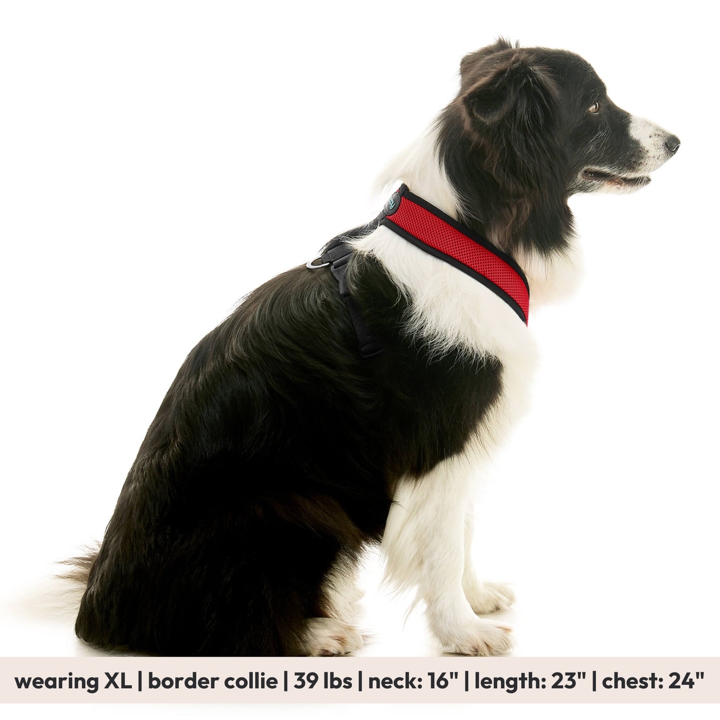 Comfort X Dual Snap Mesh Harness