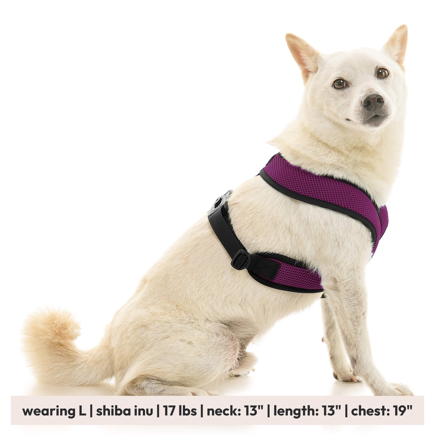 Comfort X Dual Snap Mesh Harness