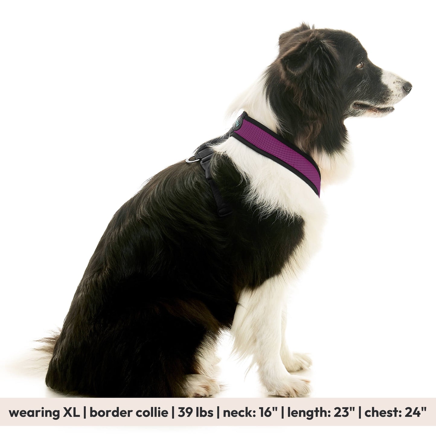 Comfort X Dual Snap Mesh Harness