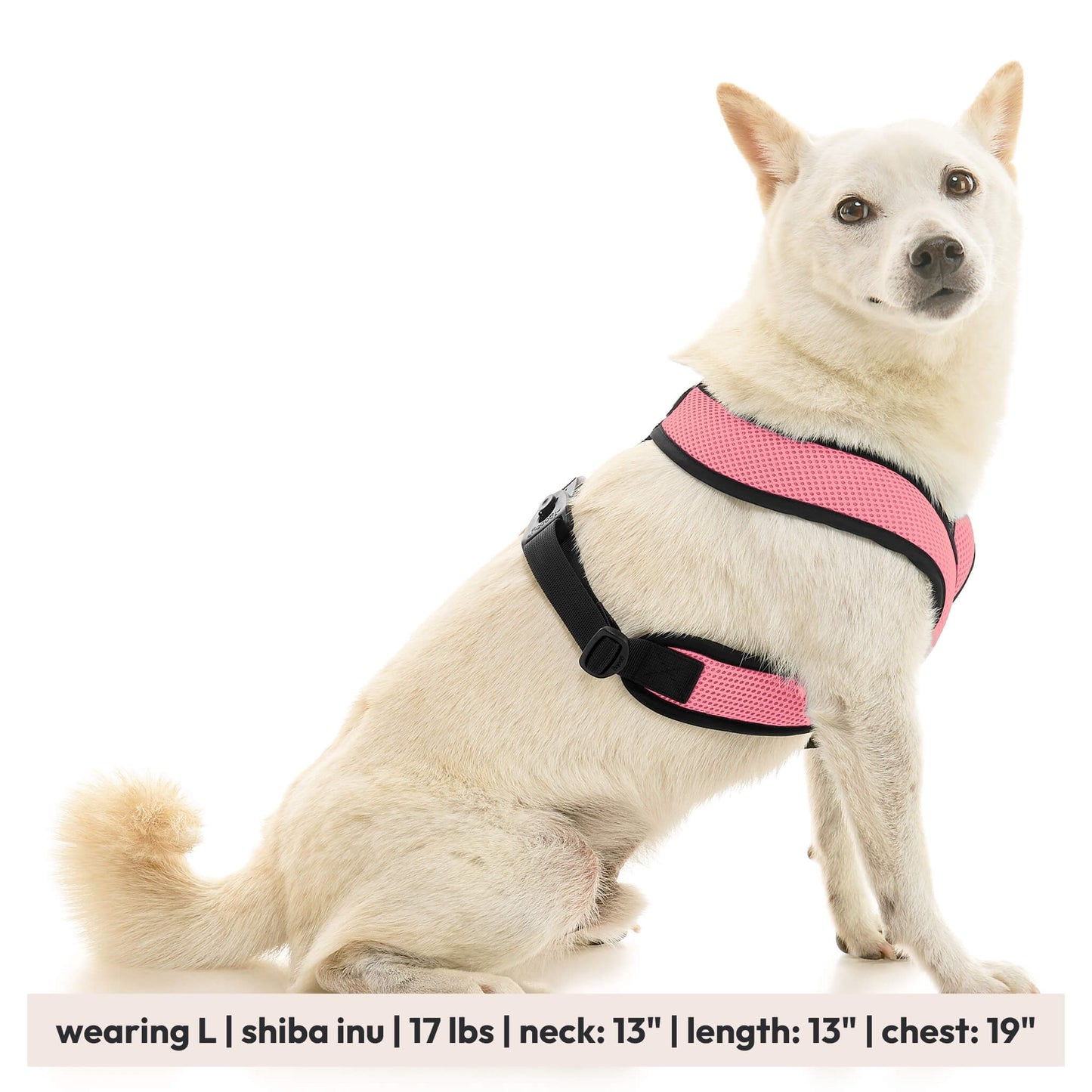 Comfort X Dual Snap Mesh Harness