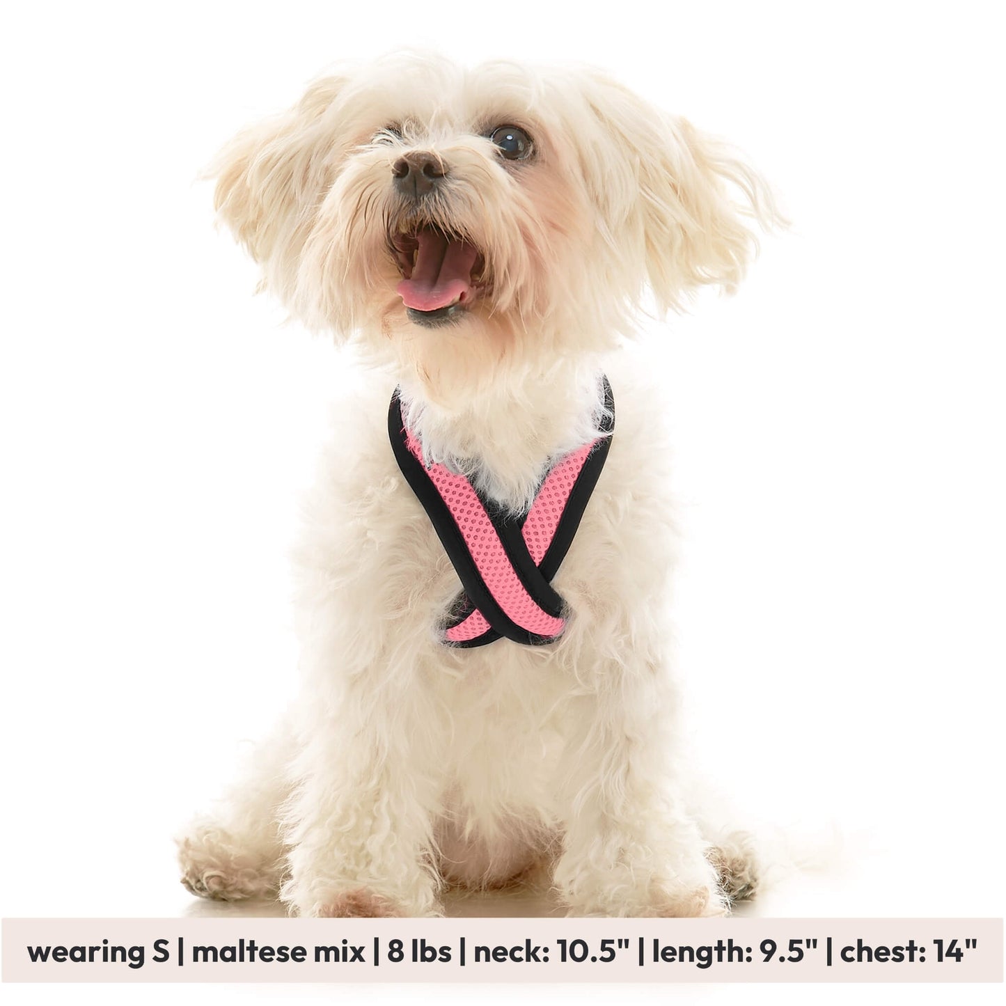 Comfort X Dual Snap Mesh Harness