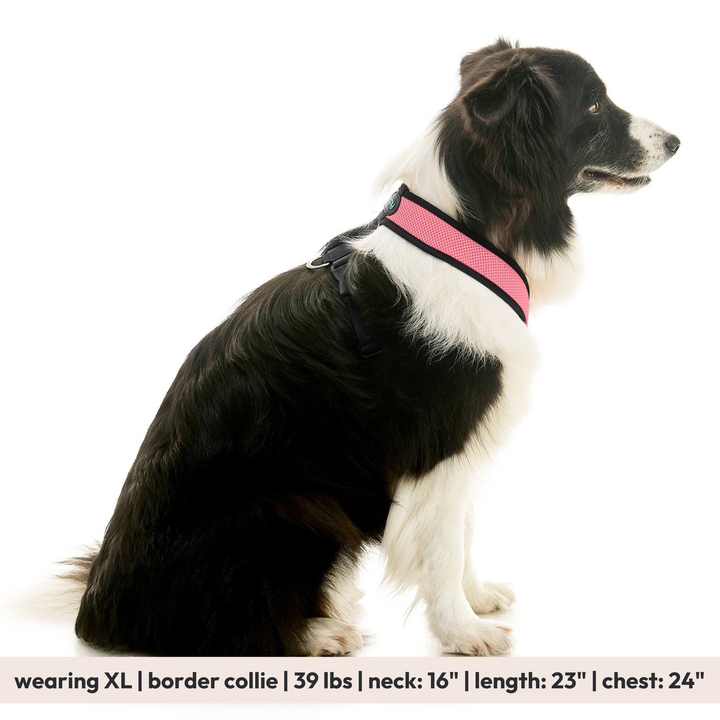 Comfort X Dual Snap Mesh Harness