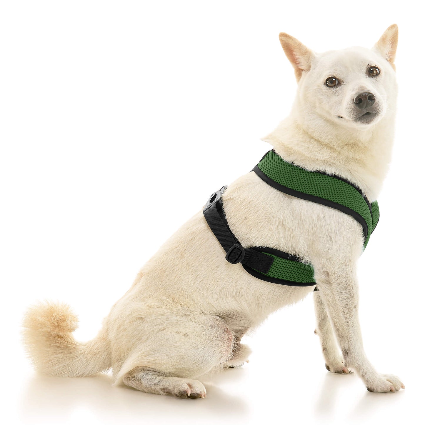 Comfort X Dual Snap Mesh Harness