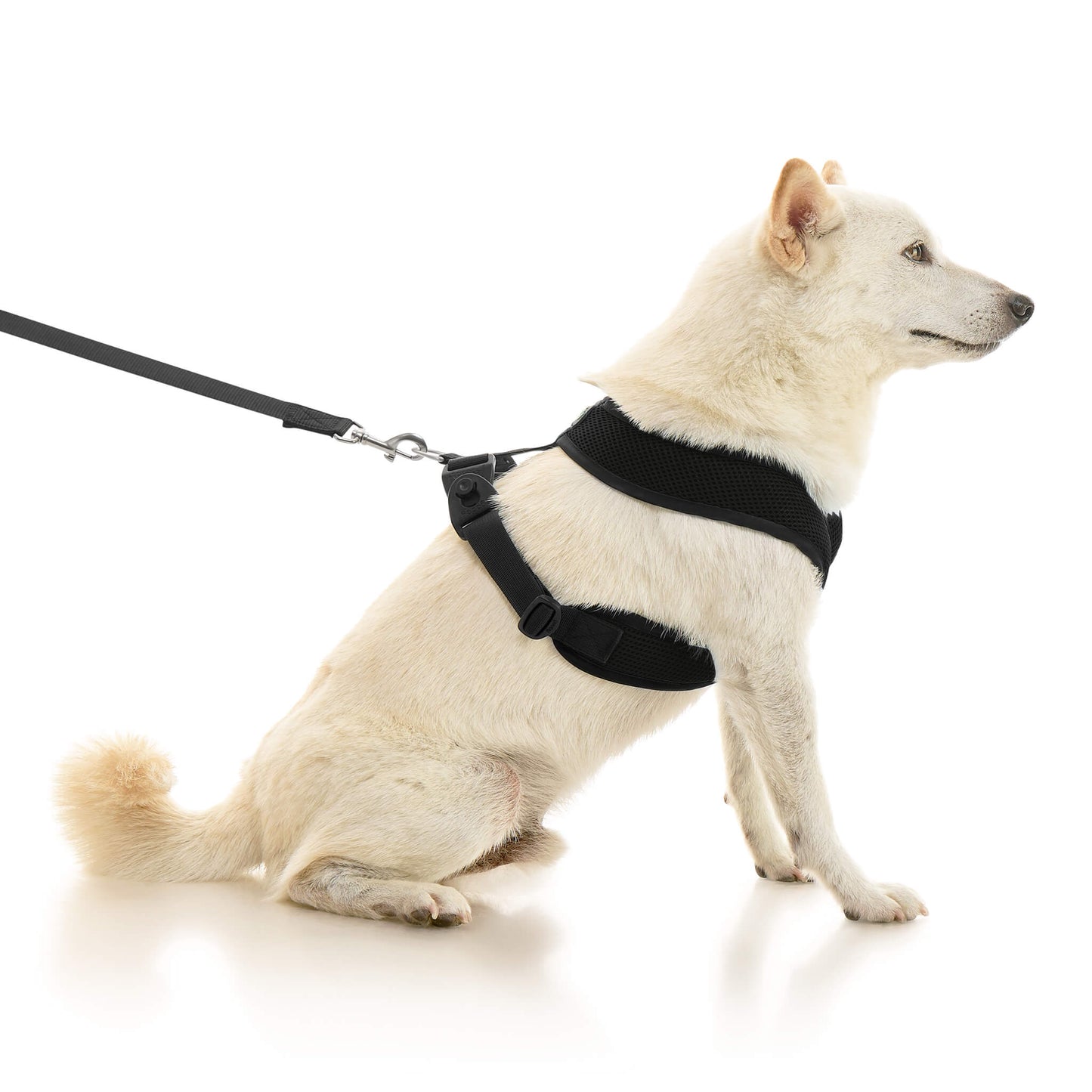 Comfort X Dual Snap Mesh Harness