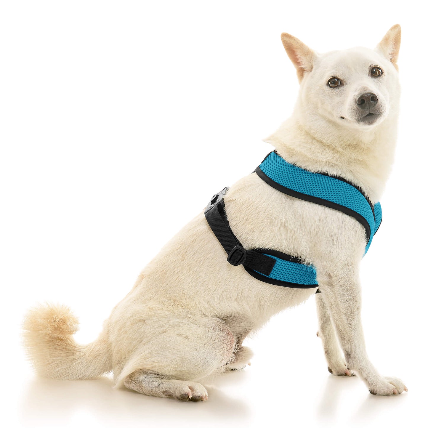 Comfort X Dual Snap Mesh Harness