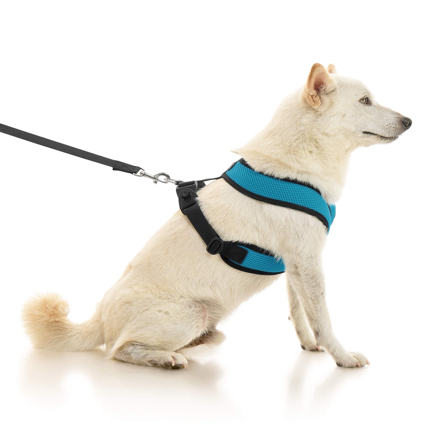 Comfort X Dual Snap Mesh Harness