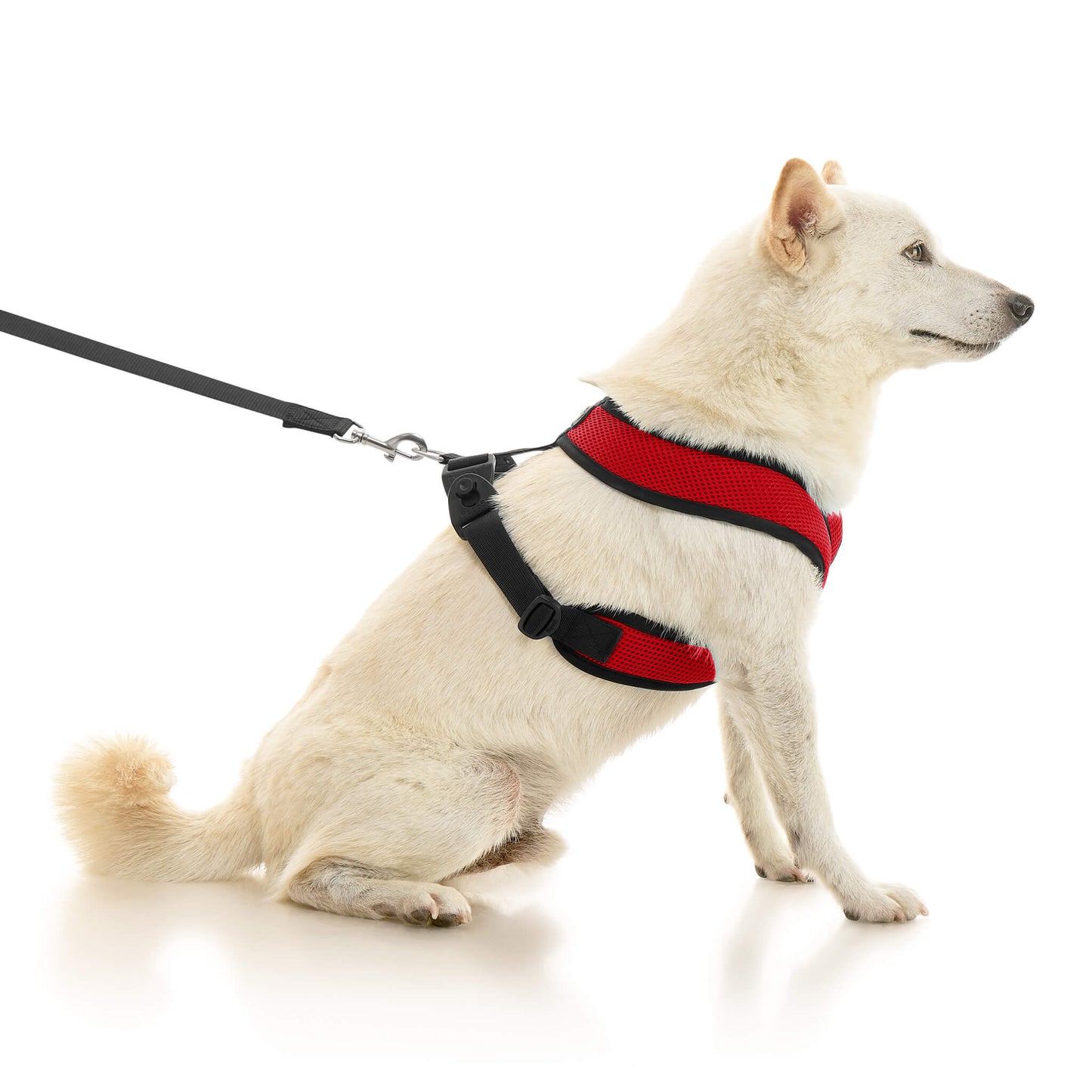 Comfort X Dual Snap Mesh Harness