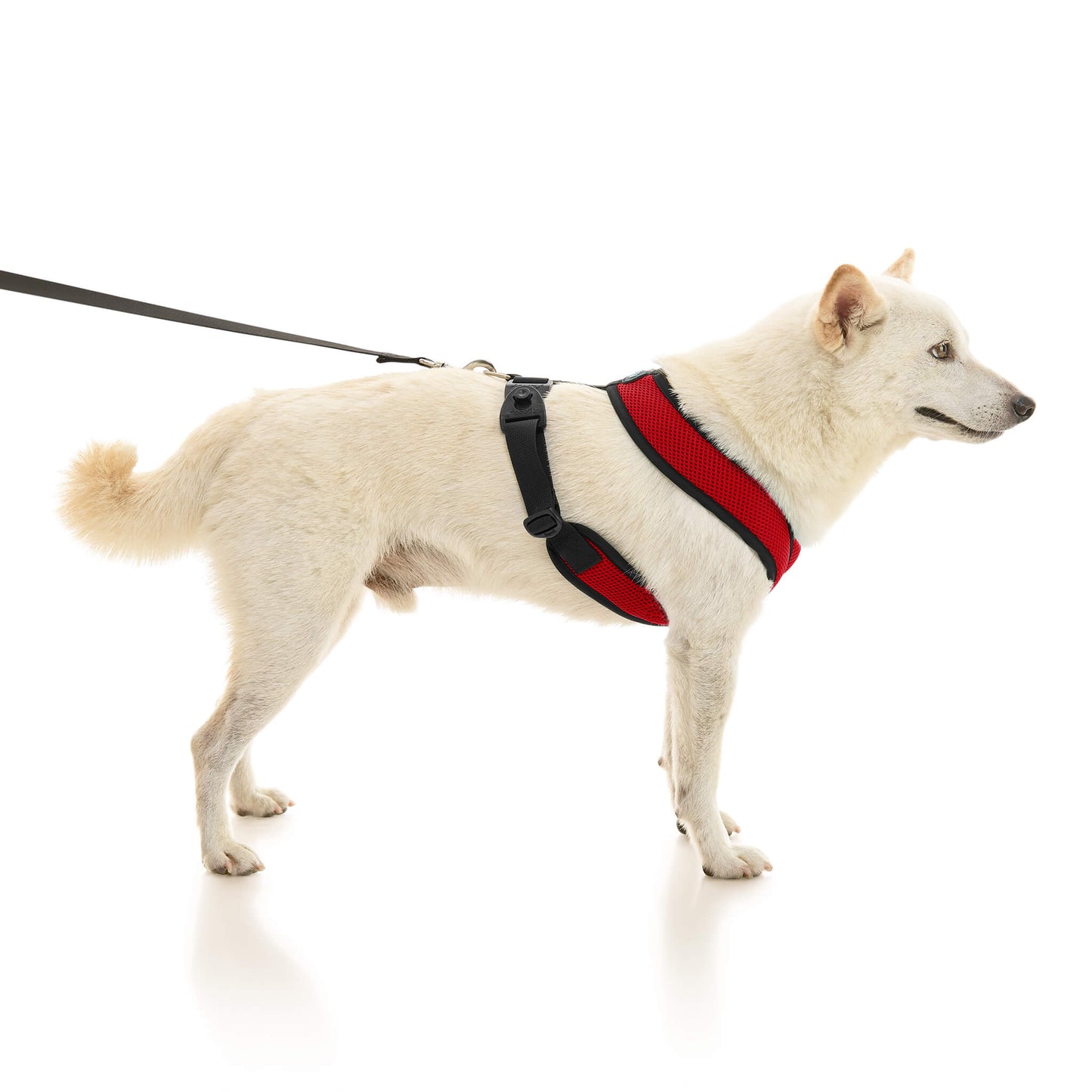 Comfort X Dual Snap Mesh Harness