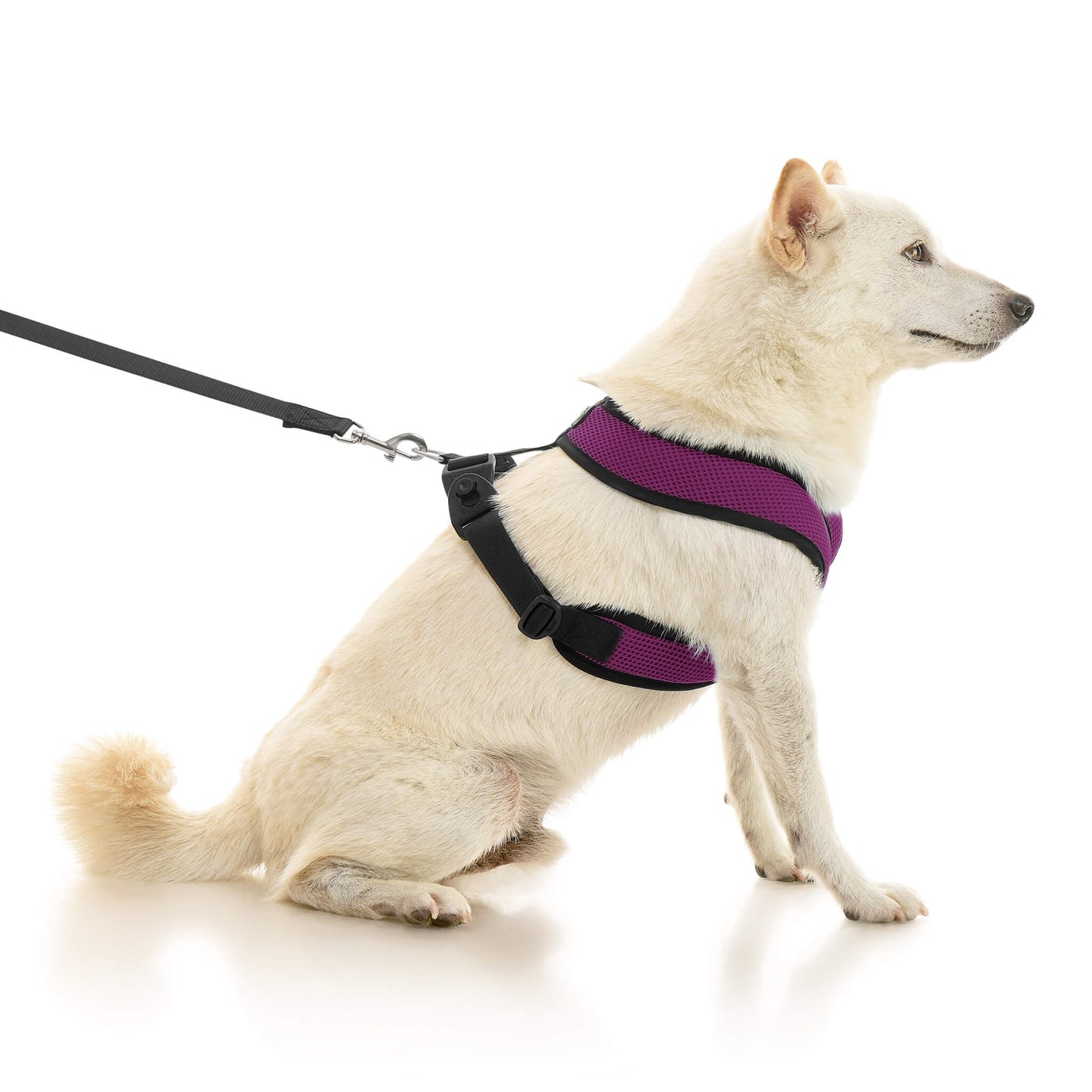 Comfort X Dual Snap Mesh Harness