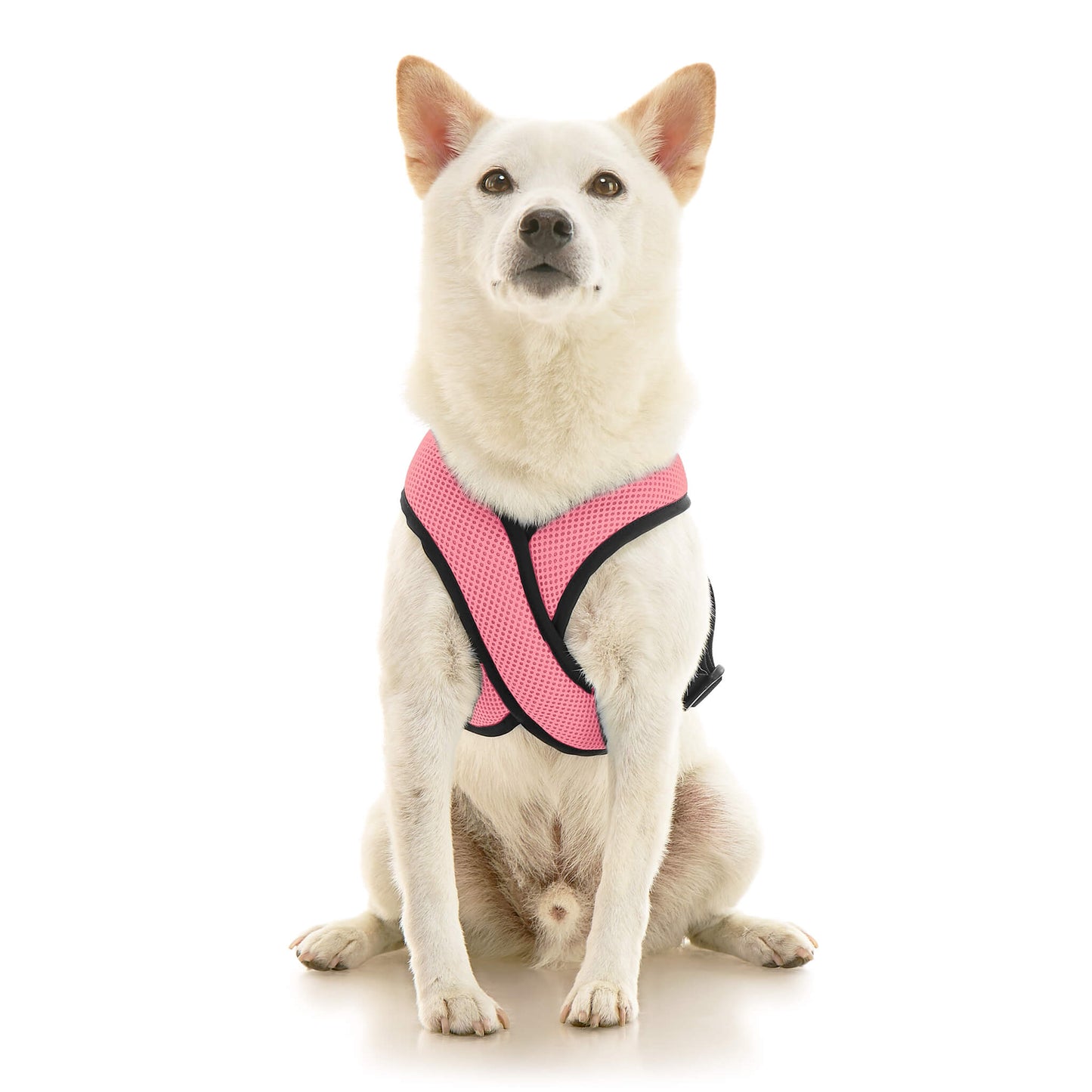 Comfort X Dual Snap Mesh Harness