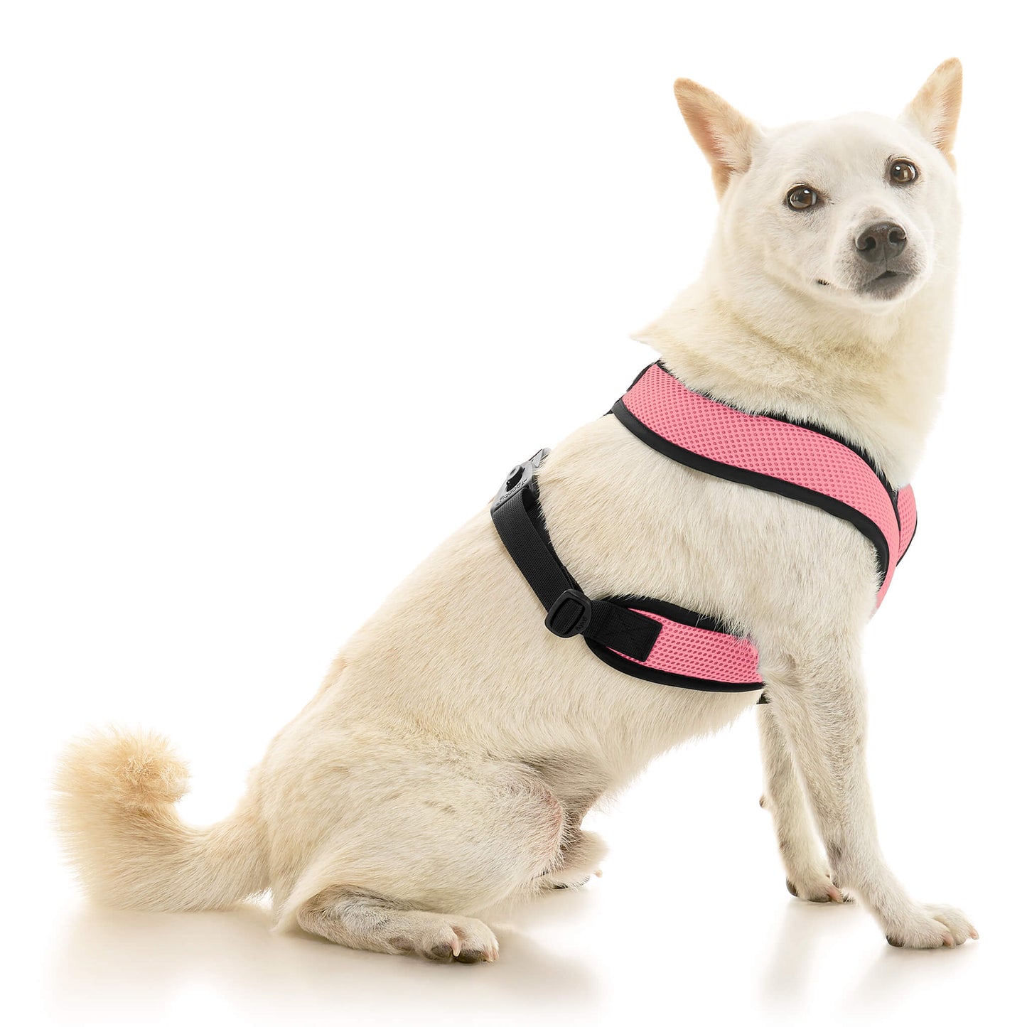 Comfort X Dual Snap Mesh Harness