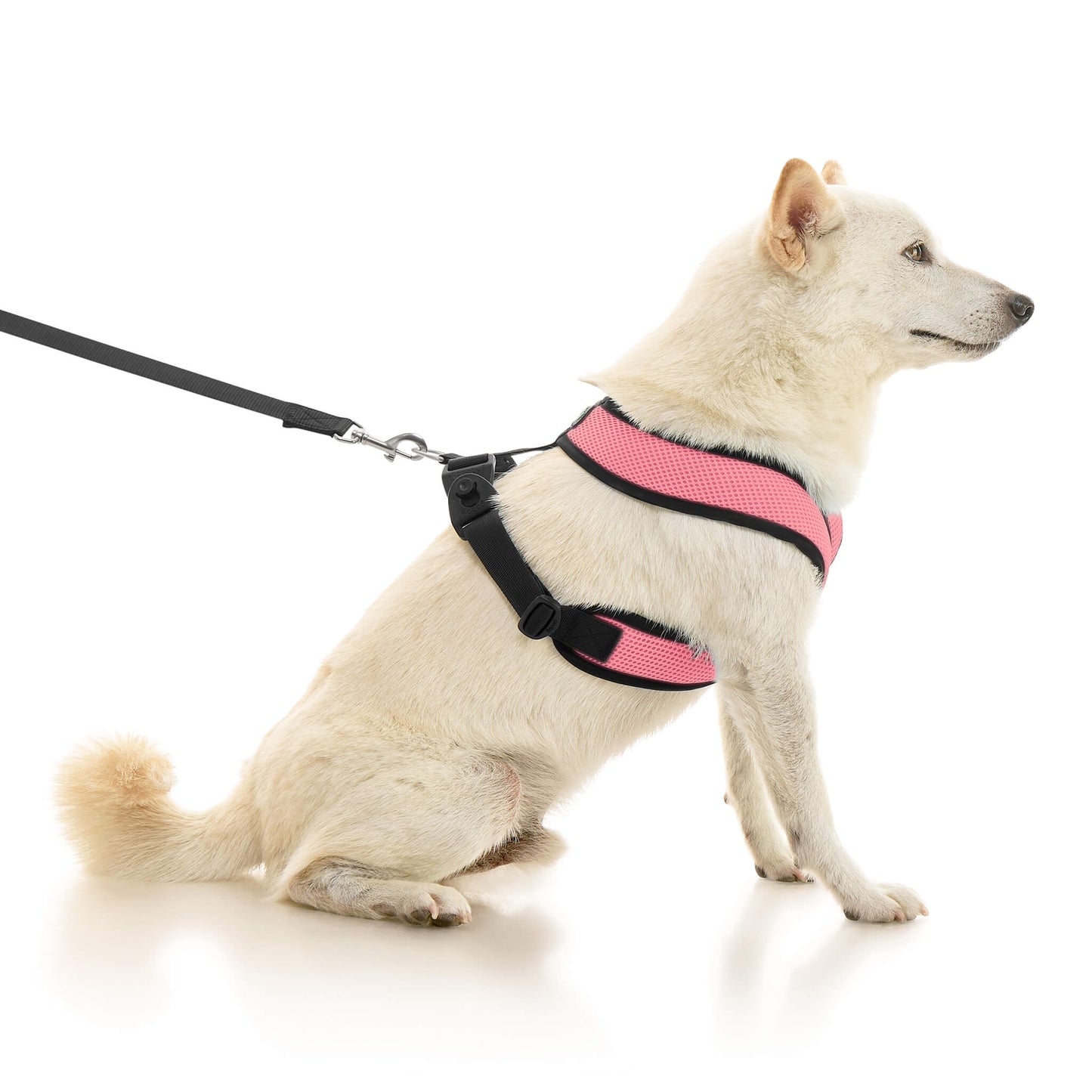 Comfort X Dual Snap Mesh Harness