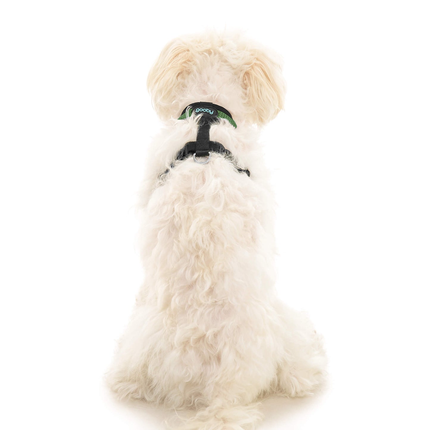 Comfort X Dual Snap Mesh Harness