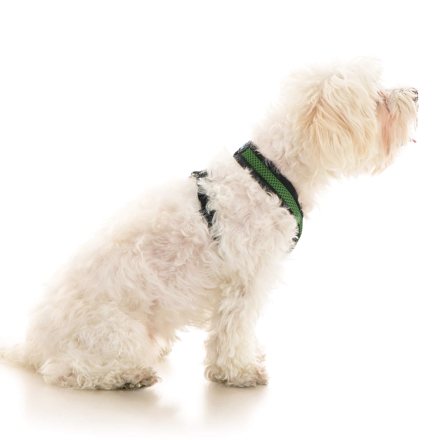 Comfort X Dual Snap Mesh Harness