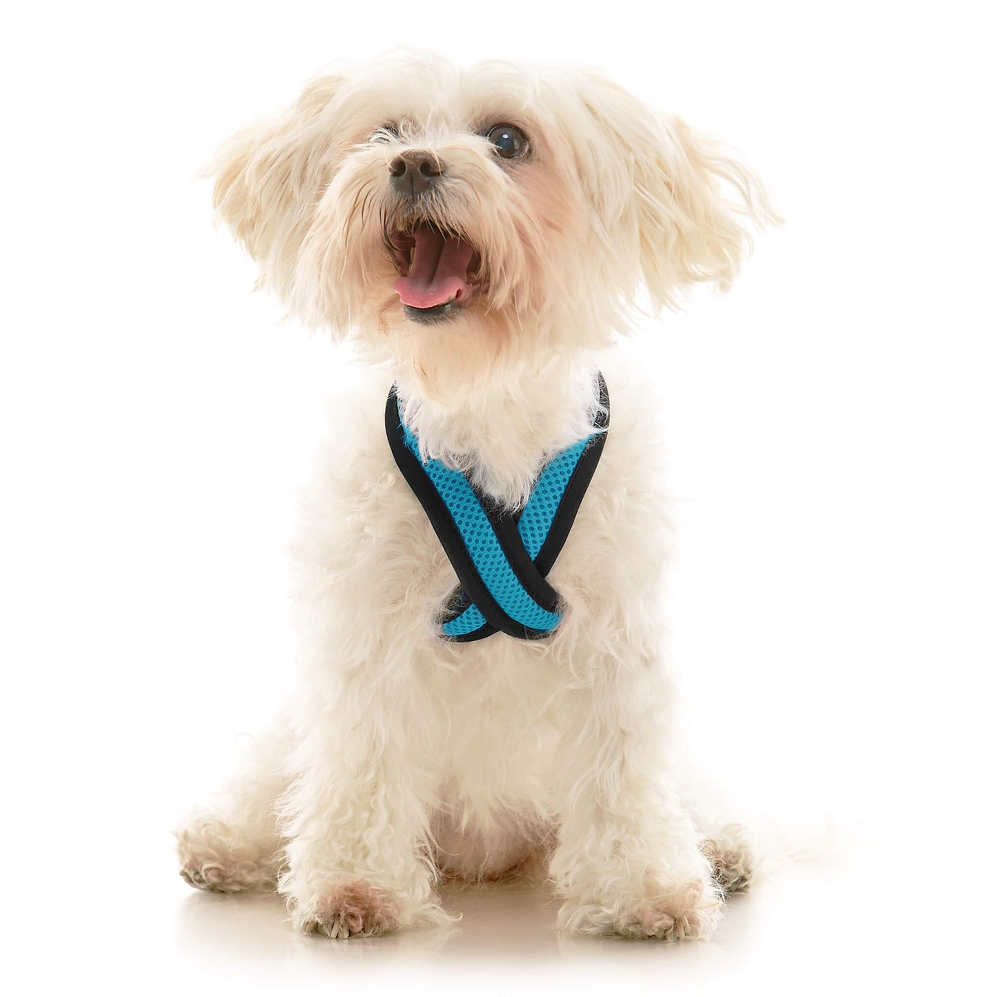 Comfort X Dual Snap Mesh Harness