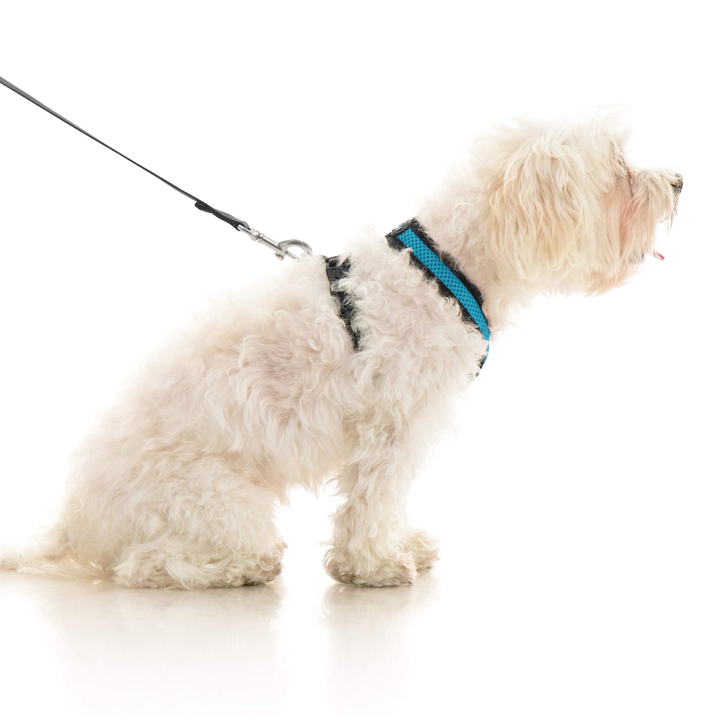 Comfort X Dual Snap Mesh Harness