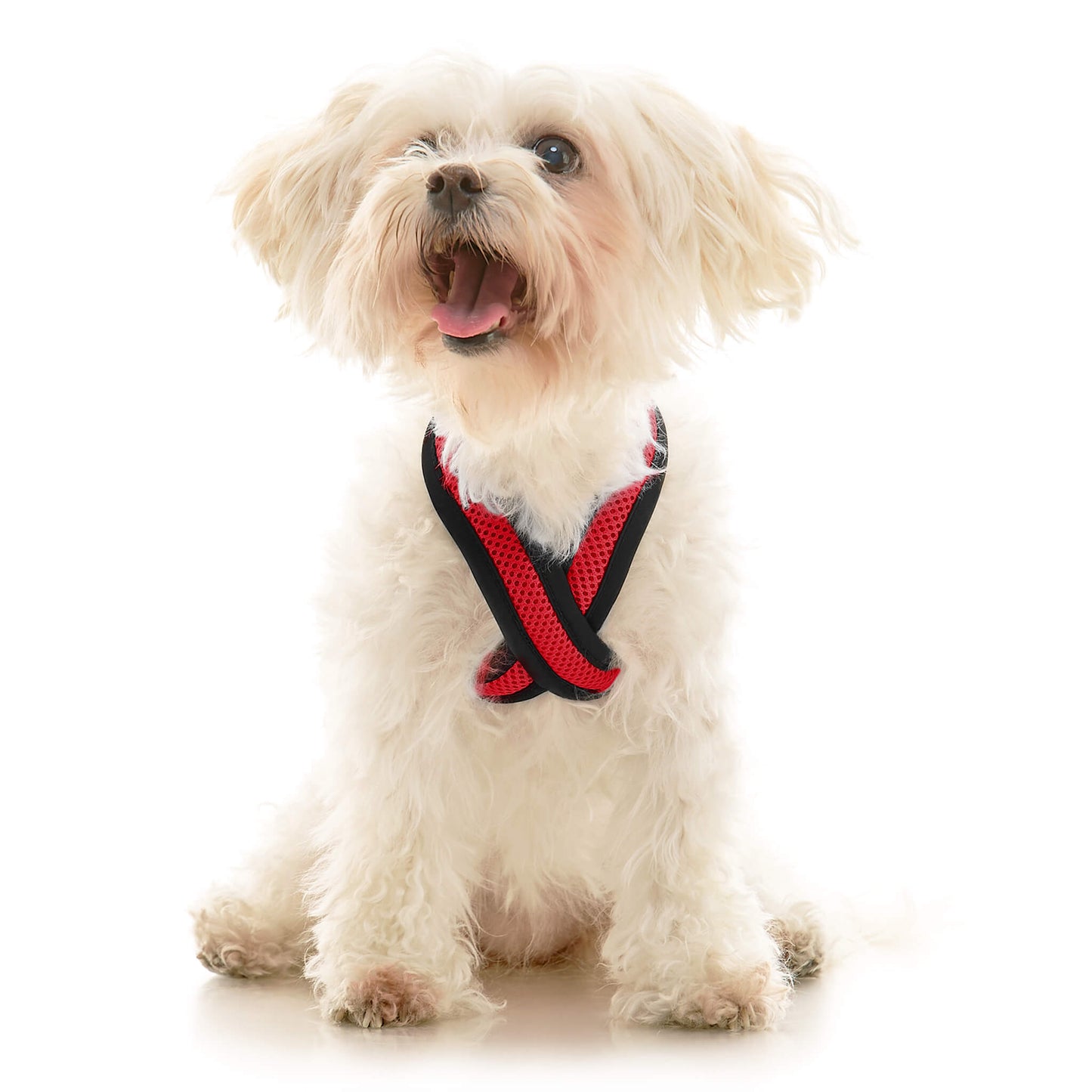 Comfort X Dual Snap Mesh Harness