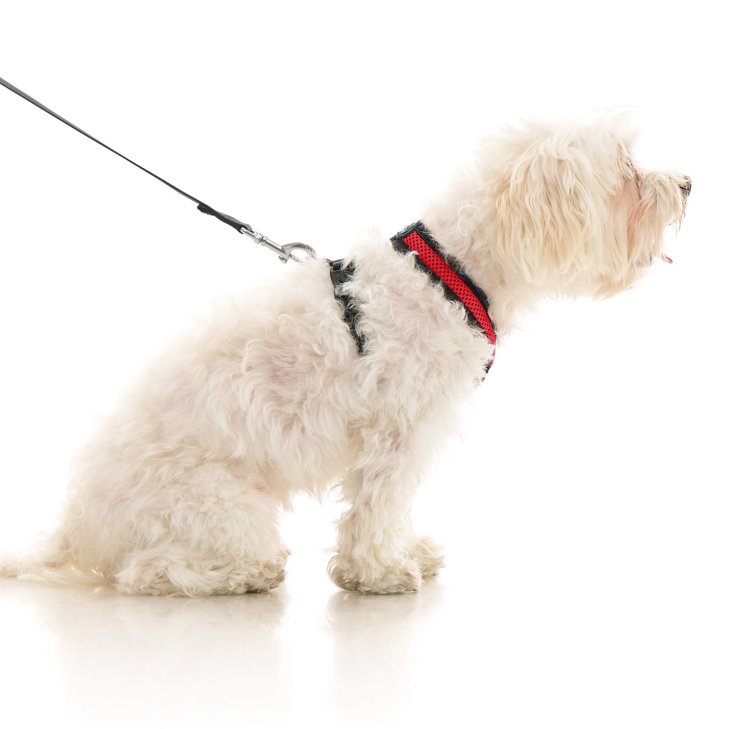 Comfort X Dual Snap Mesh Harness