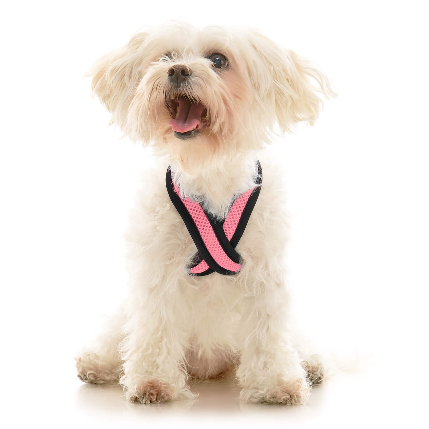 Comfort X Dual Snap Mesh Harness