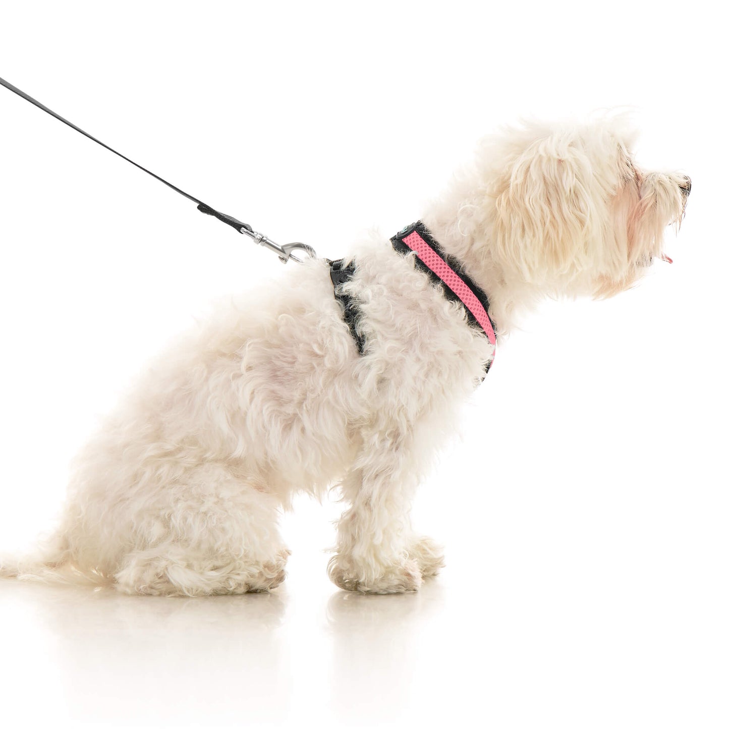 Comfort X Dual Snap Mesh Harness