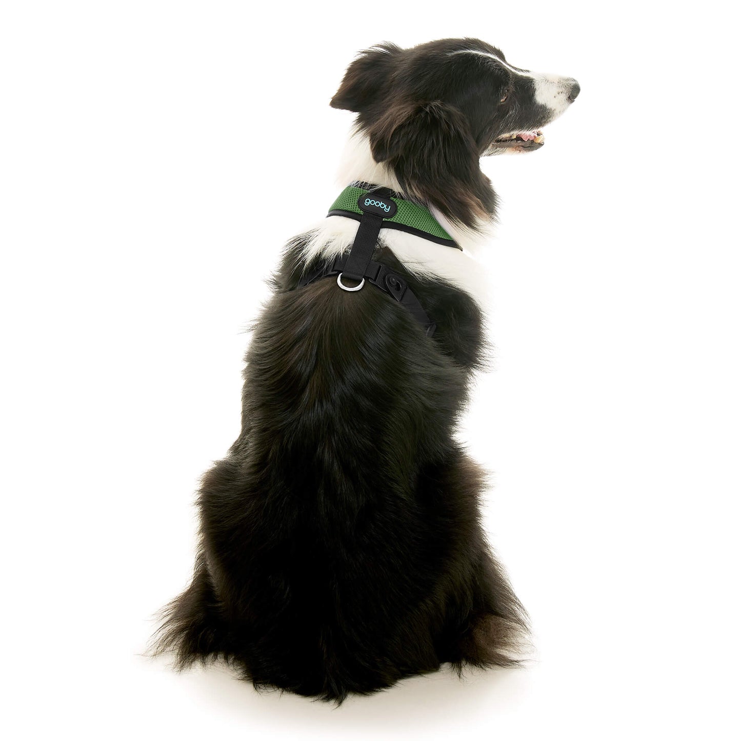 Comfort X Dual Snap Mesh Harness