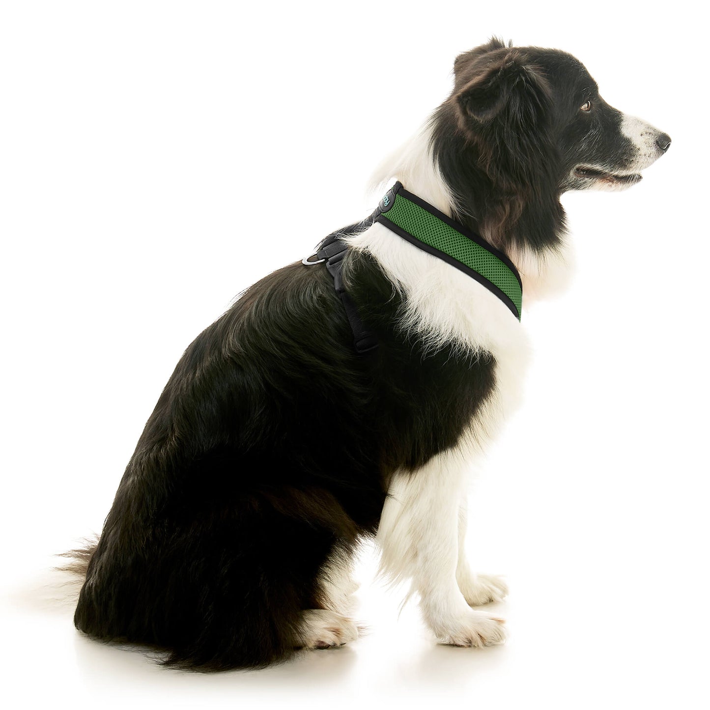 Comfort X Dual Snap Mesh Harness