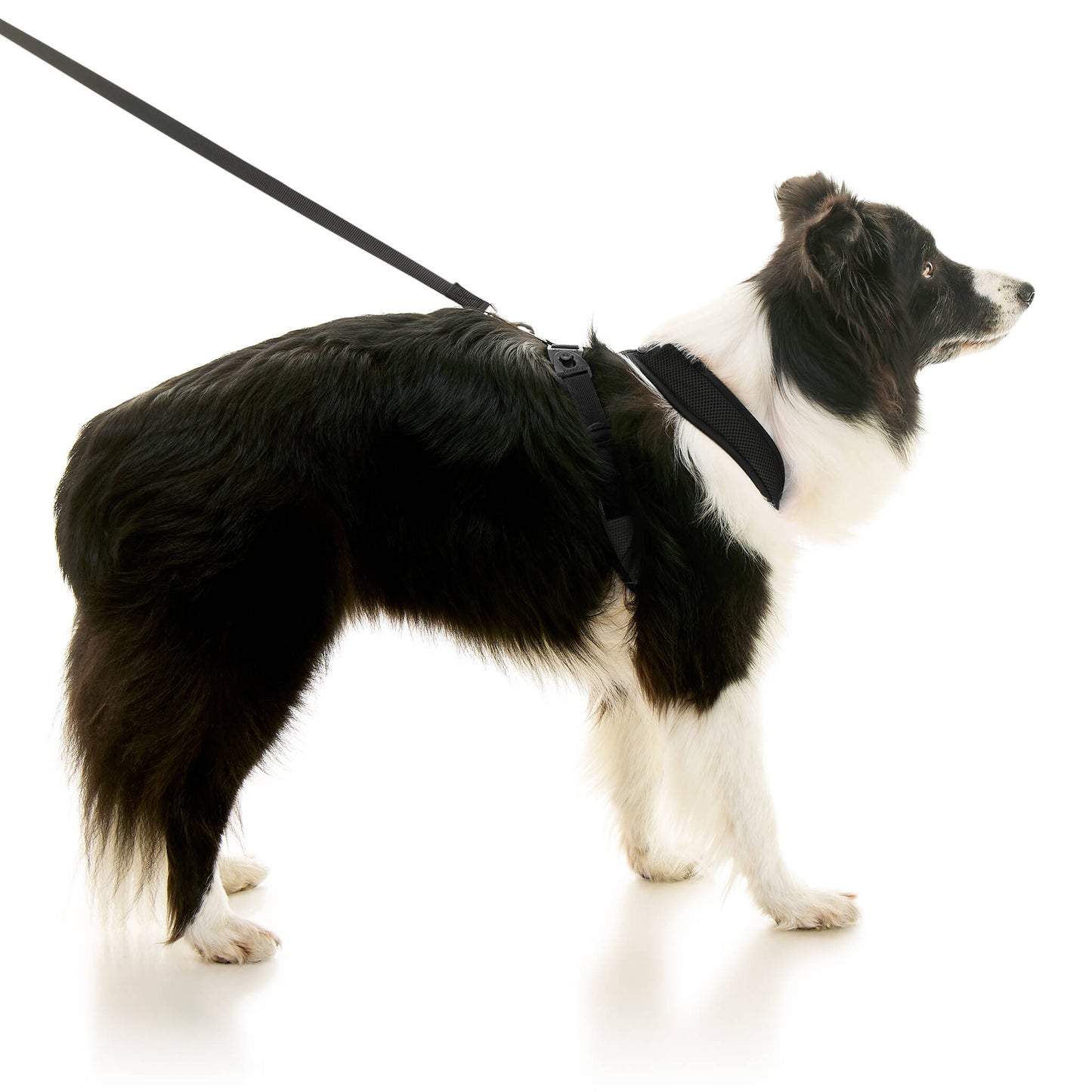 Comfort X Dual Snap Mesh Harness